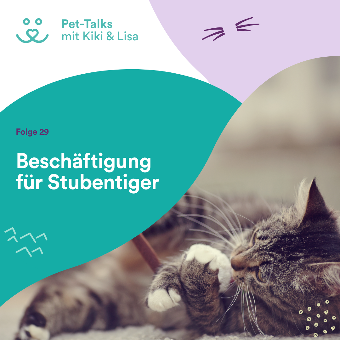 Pet-Talks mit Kiki & Lisa - der Hunde-Podcast von DeineTierwelt