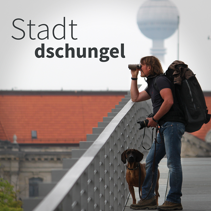 SD#025 Natur vor der Haustür - Bestandsaufnahme episode artwork