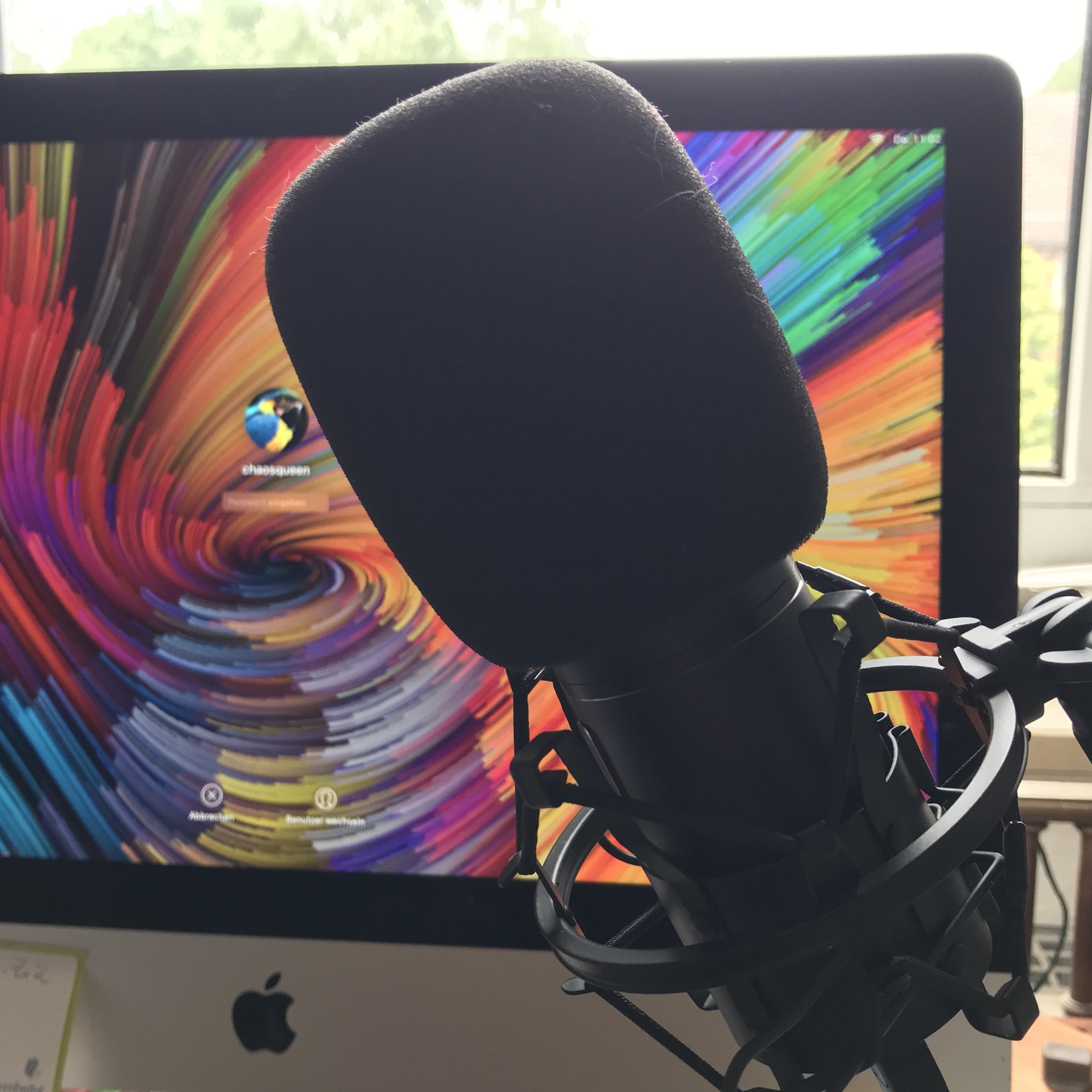 Chaosköppe - zwischen Alltag und Wahnsinn