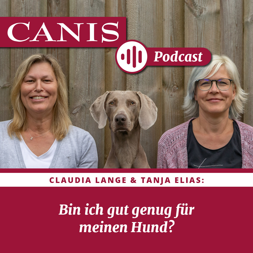 Der CANIS-Podcast – Hundeexpert:innen ausgefragt