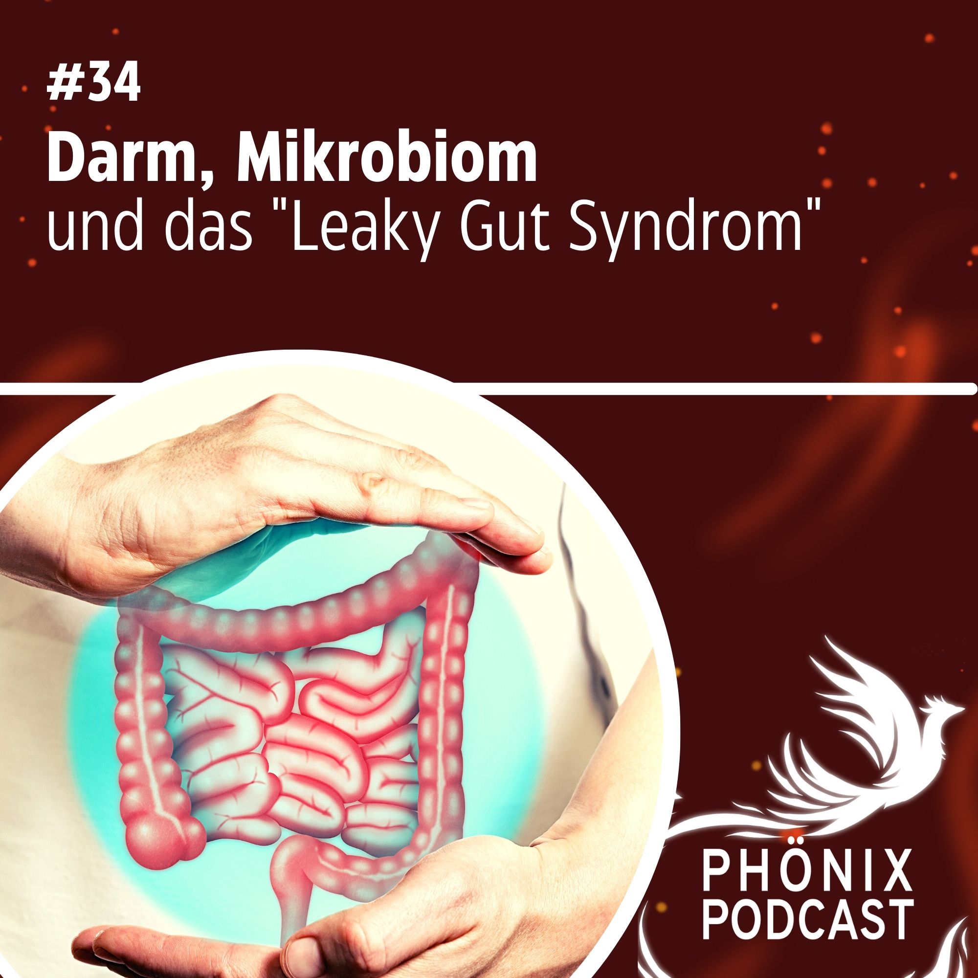 Darm, Mikrobiom und das "Leaky Gut Syndrom" # 34 - podcast episode cover