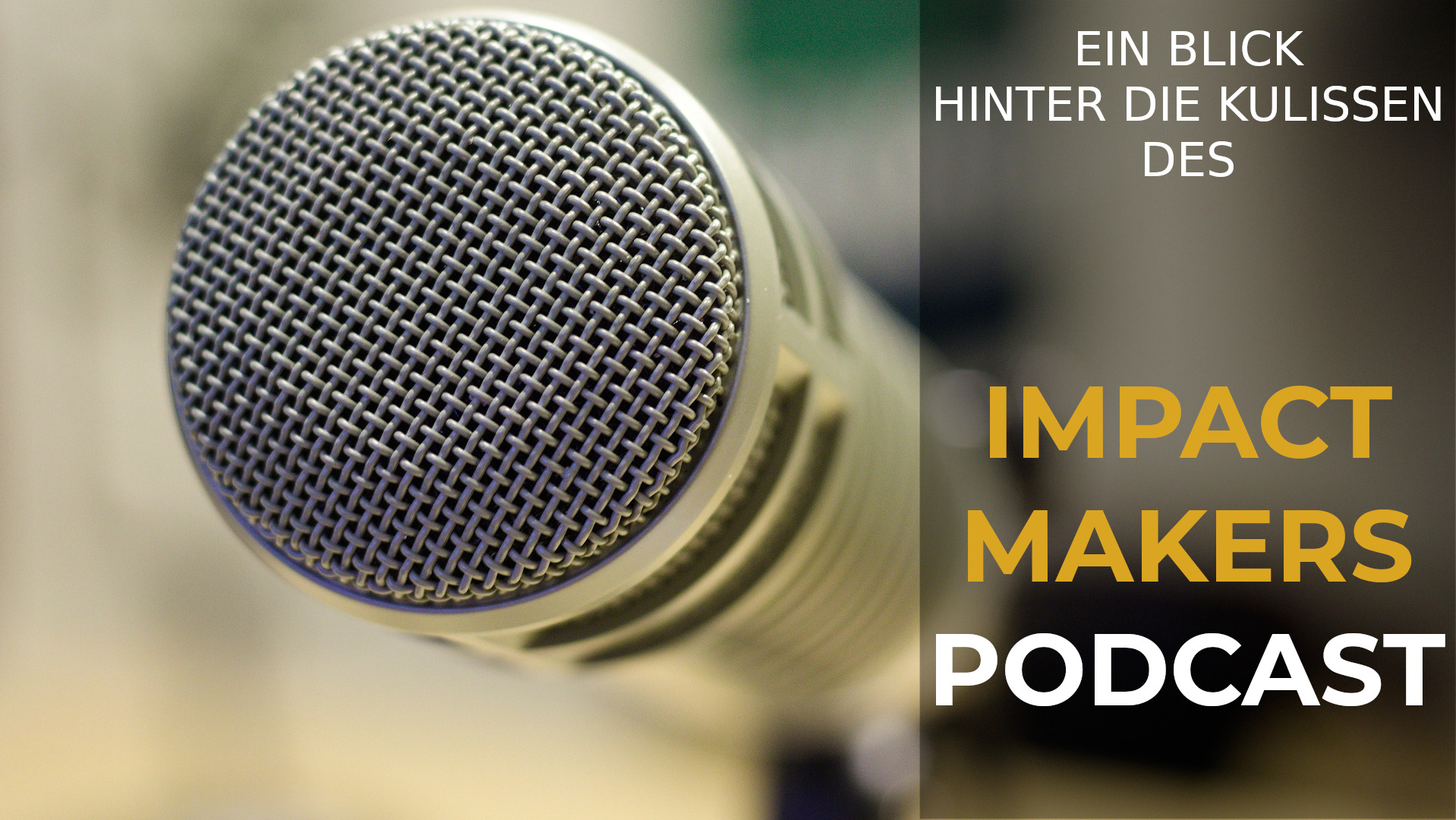 Impact Makers - Gutes Unternehmertum