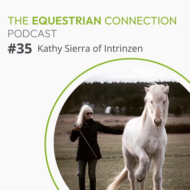 #35 Understanding Intrinsic Motivation for Movement with Kathy Sierra