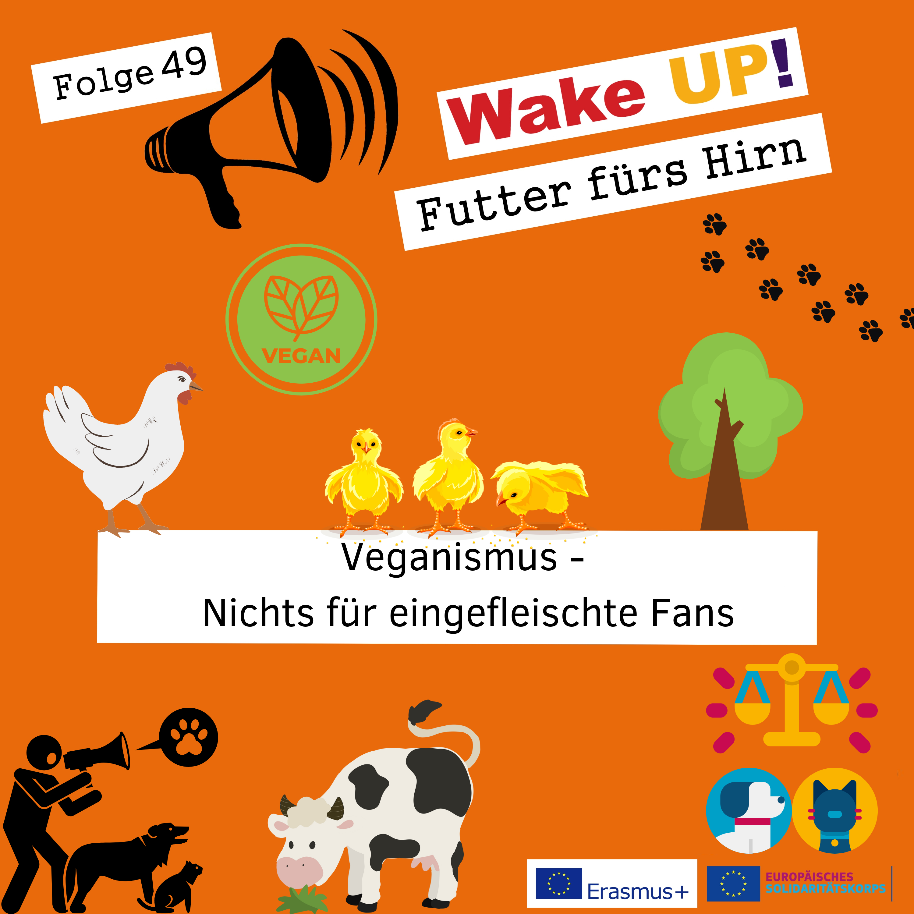 WakeUp! - Futter für\'s Hirn