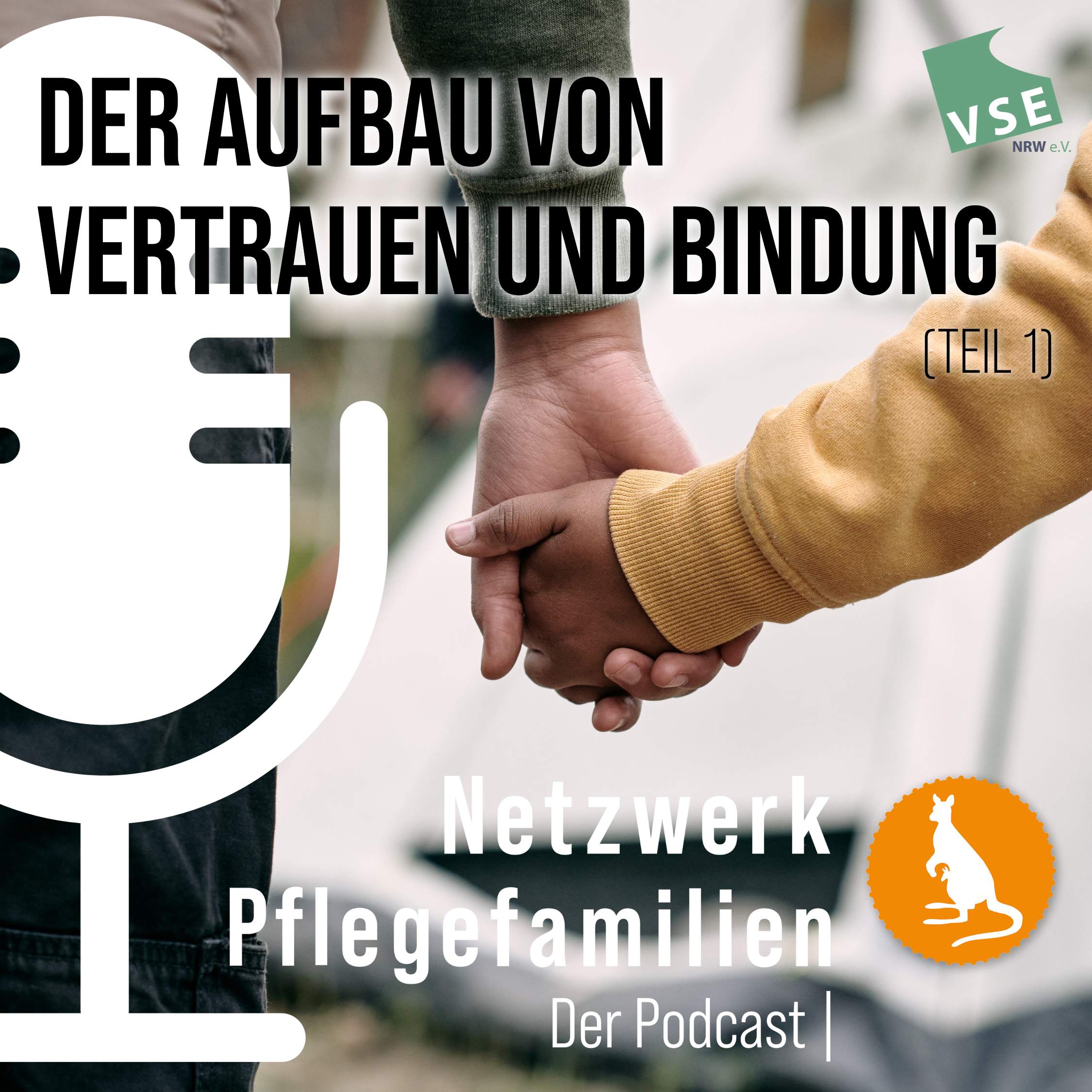 Netzwerk Pflegefamilien - Der Podcast