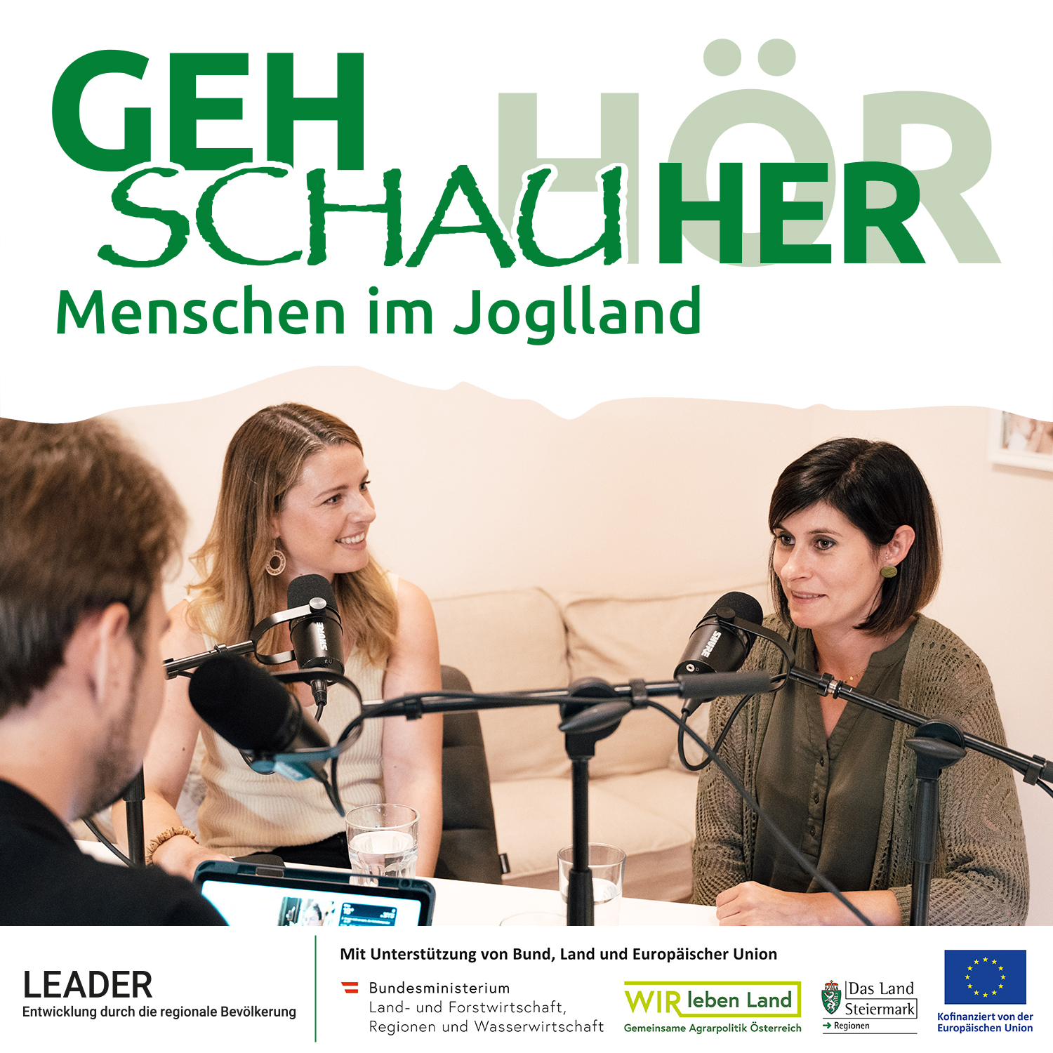 #13 - mit Katrin Pillhofer und Elisabeth Schneeflock episode artwork