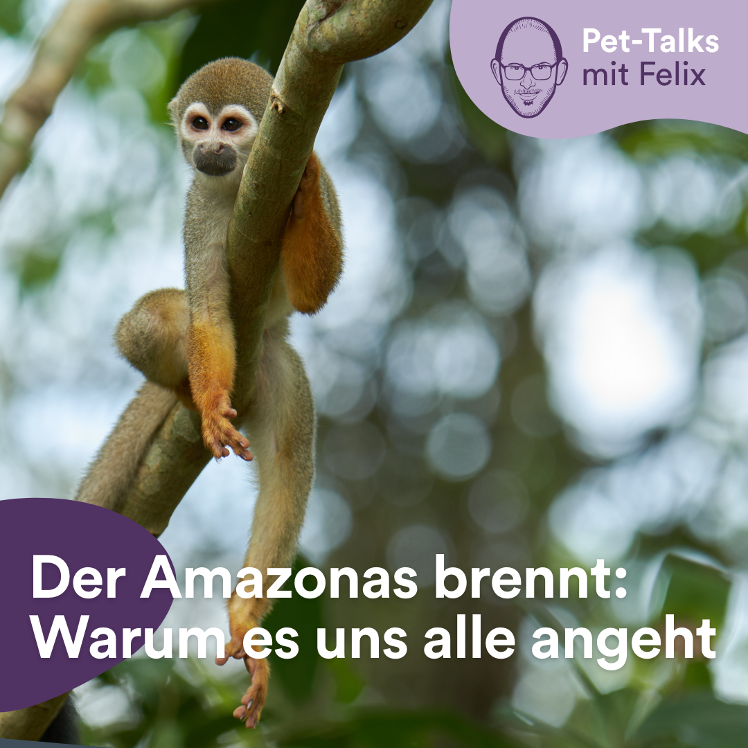 Pet-Talks: Klartext – der Interview-Podcast von DeineTierwelt
