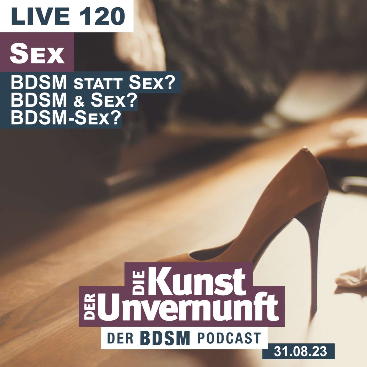 BDSM - Die Kunst der Unvernunft