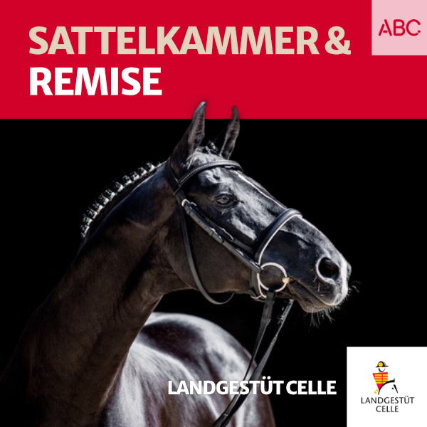 Landgestüt Celle - Der Podcast