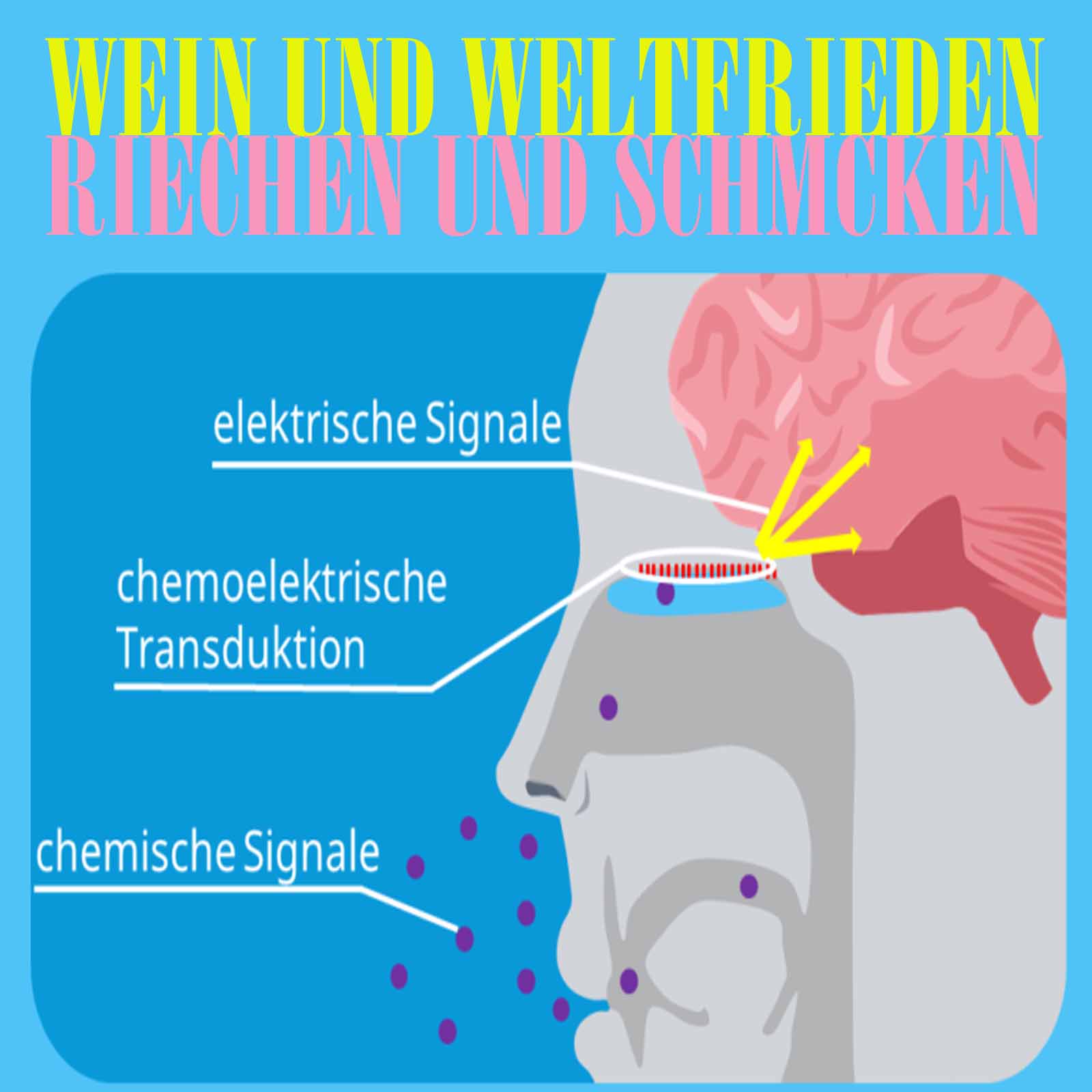 Wein und Weltfrieden