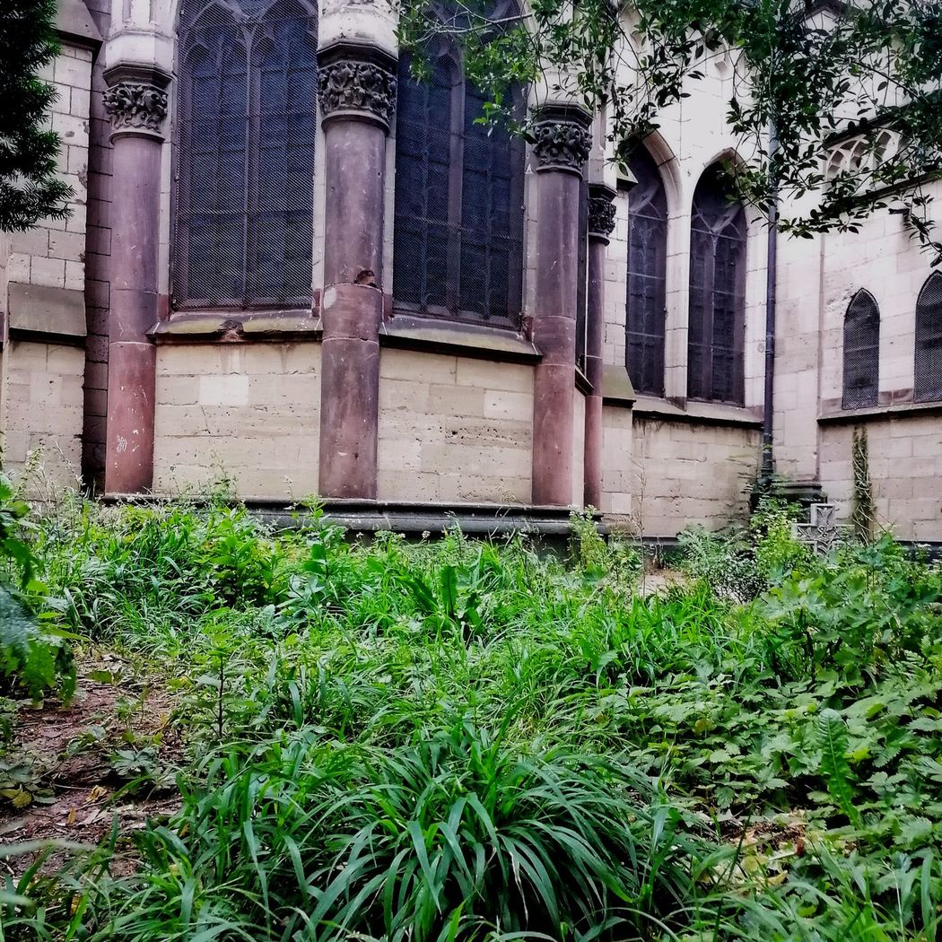 Agnes trifft - Ein Veedelspodcast aus dem Kölner Agnesviertel