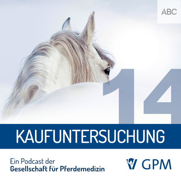 Pferdemedizin heute