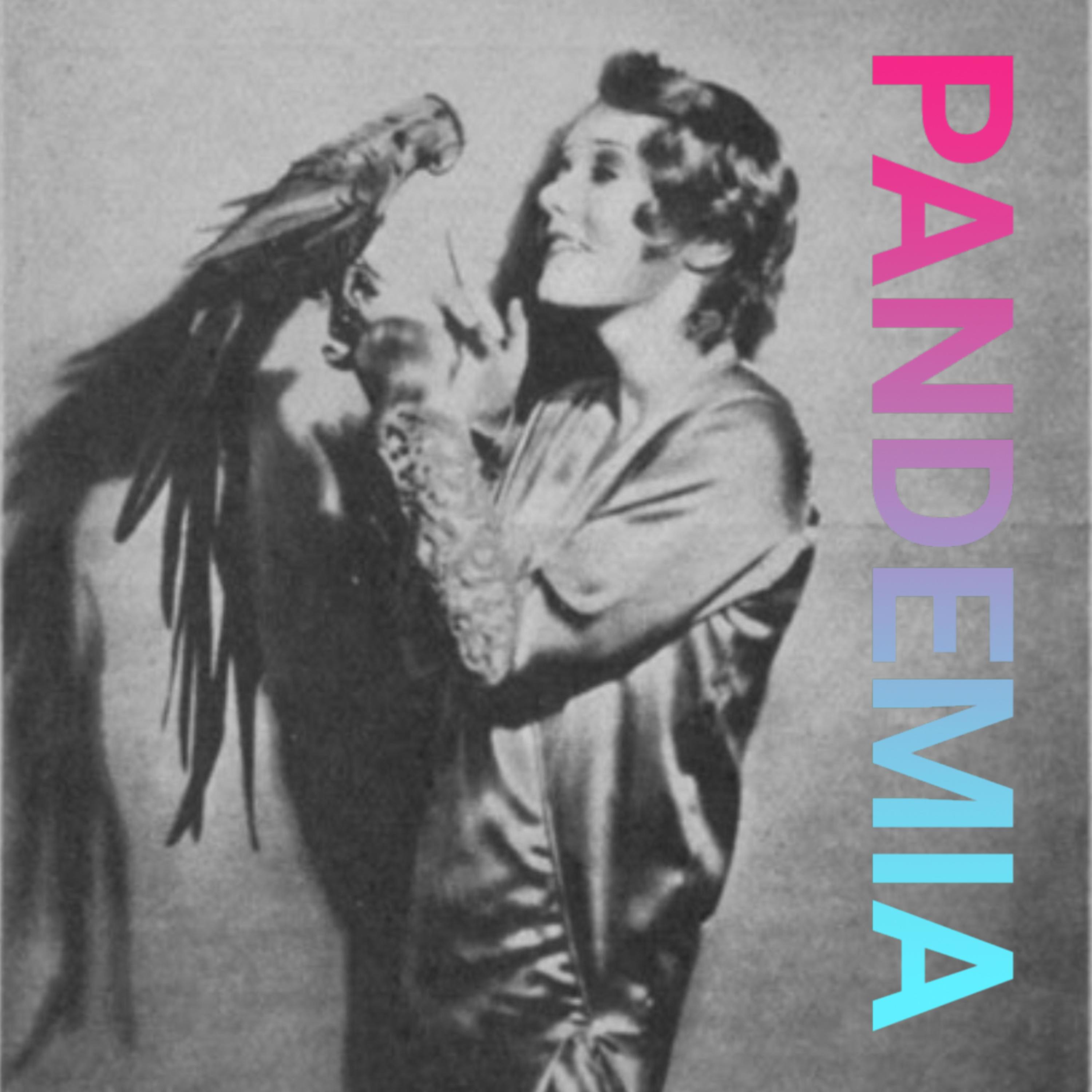 Chlamydien (4) | Die Welt im Papageien-Fieber