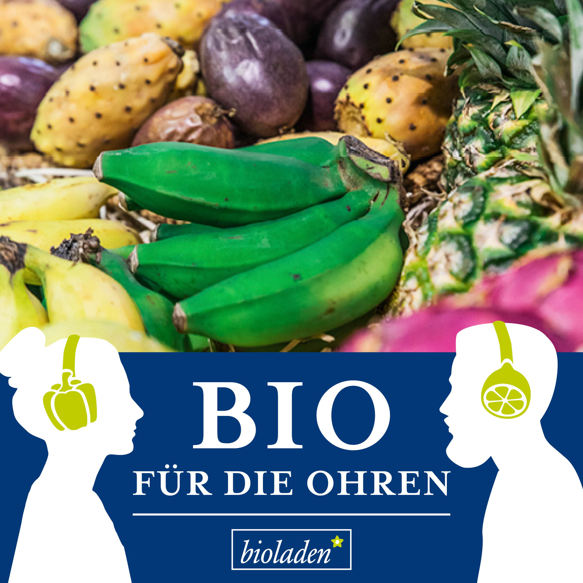 Bio für die Ohren