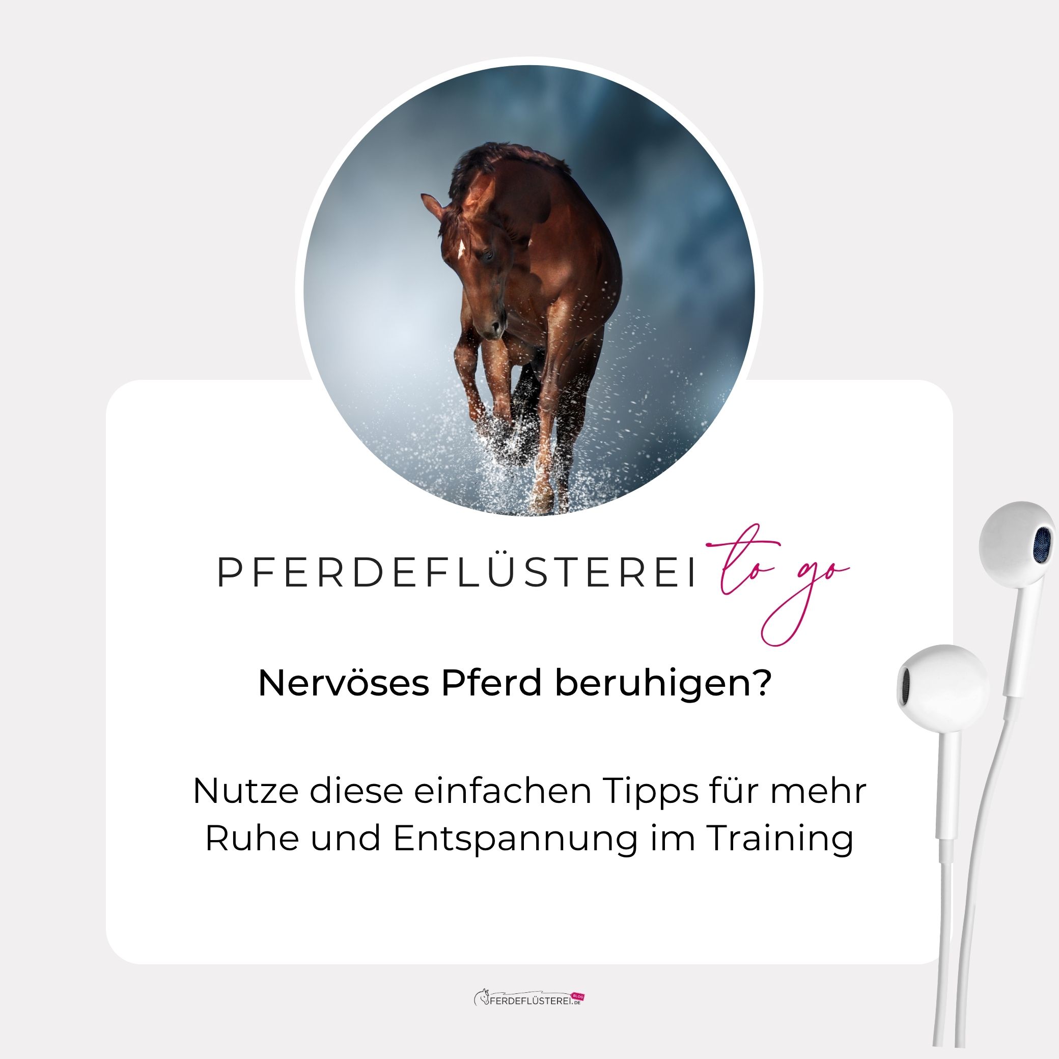 Schreckhaftes Pferd? DAS macht den Unterschied! 😮