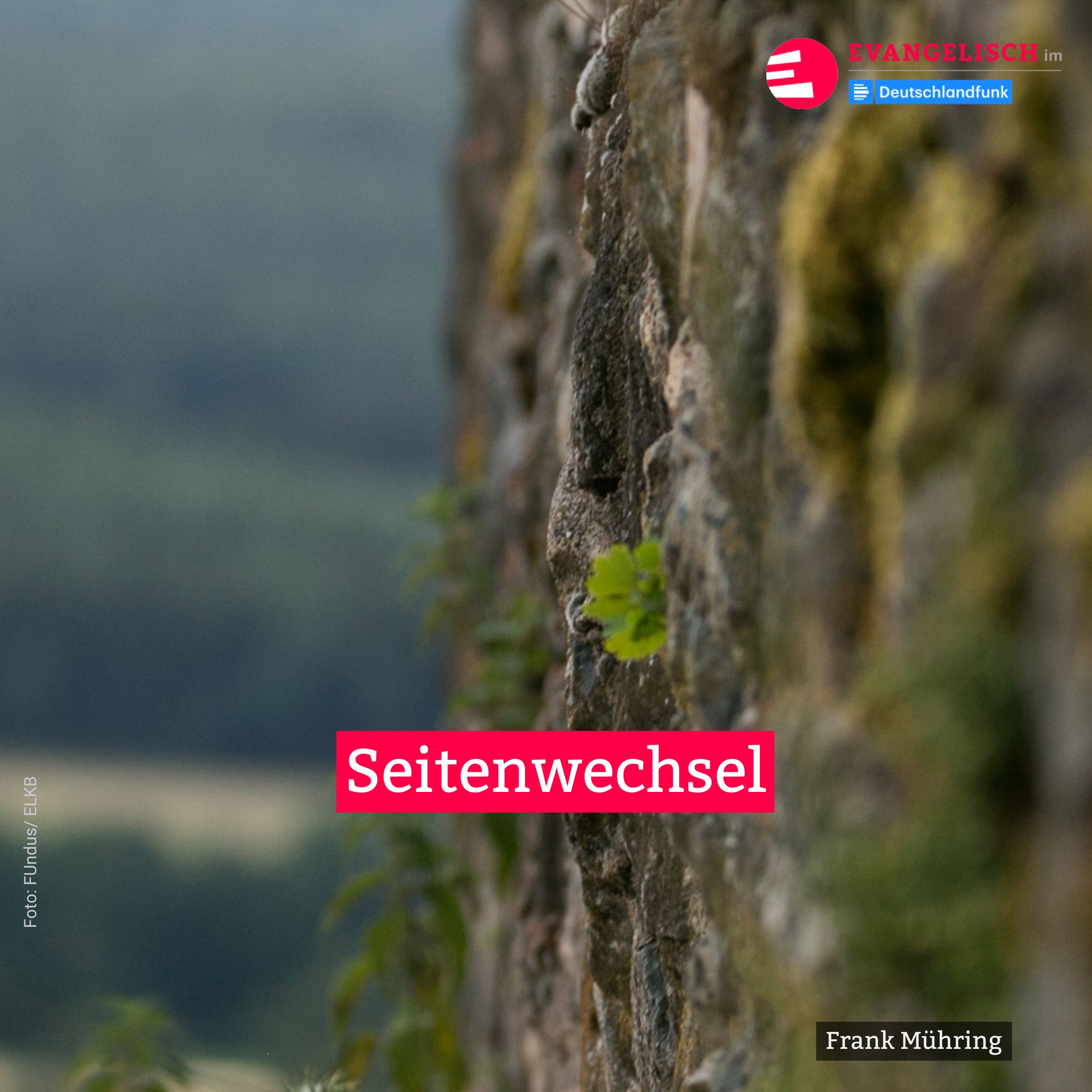 Seitenwechsel