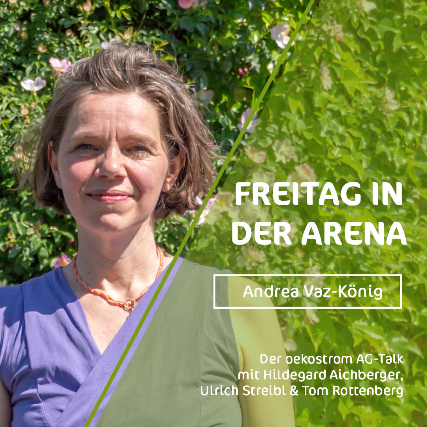 Freitag in der Arena - der oekostrom AG-Talk