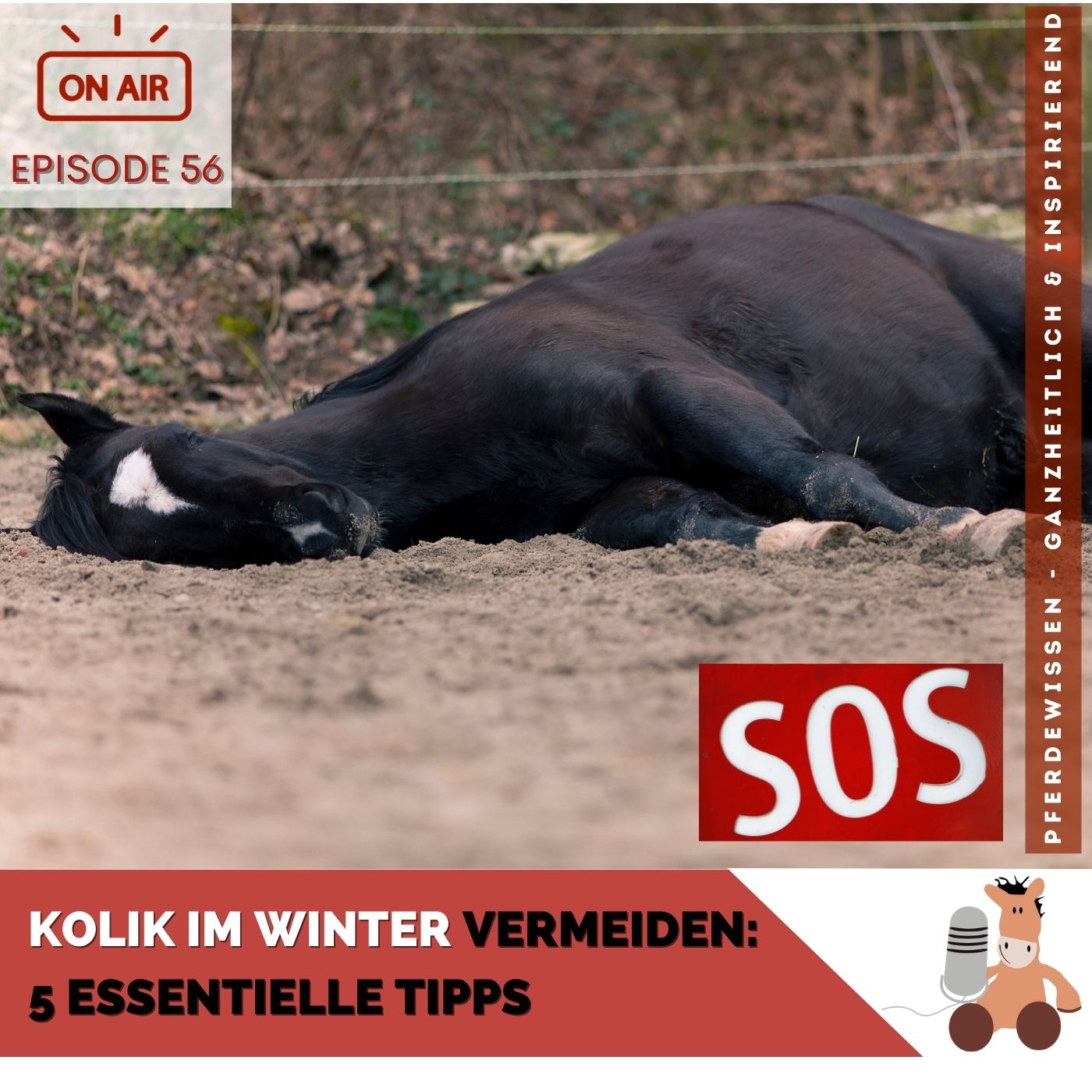 Kolik beim Pferd im Winter vermeiden episode artwork