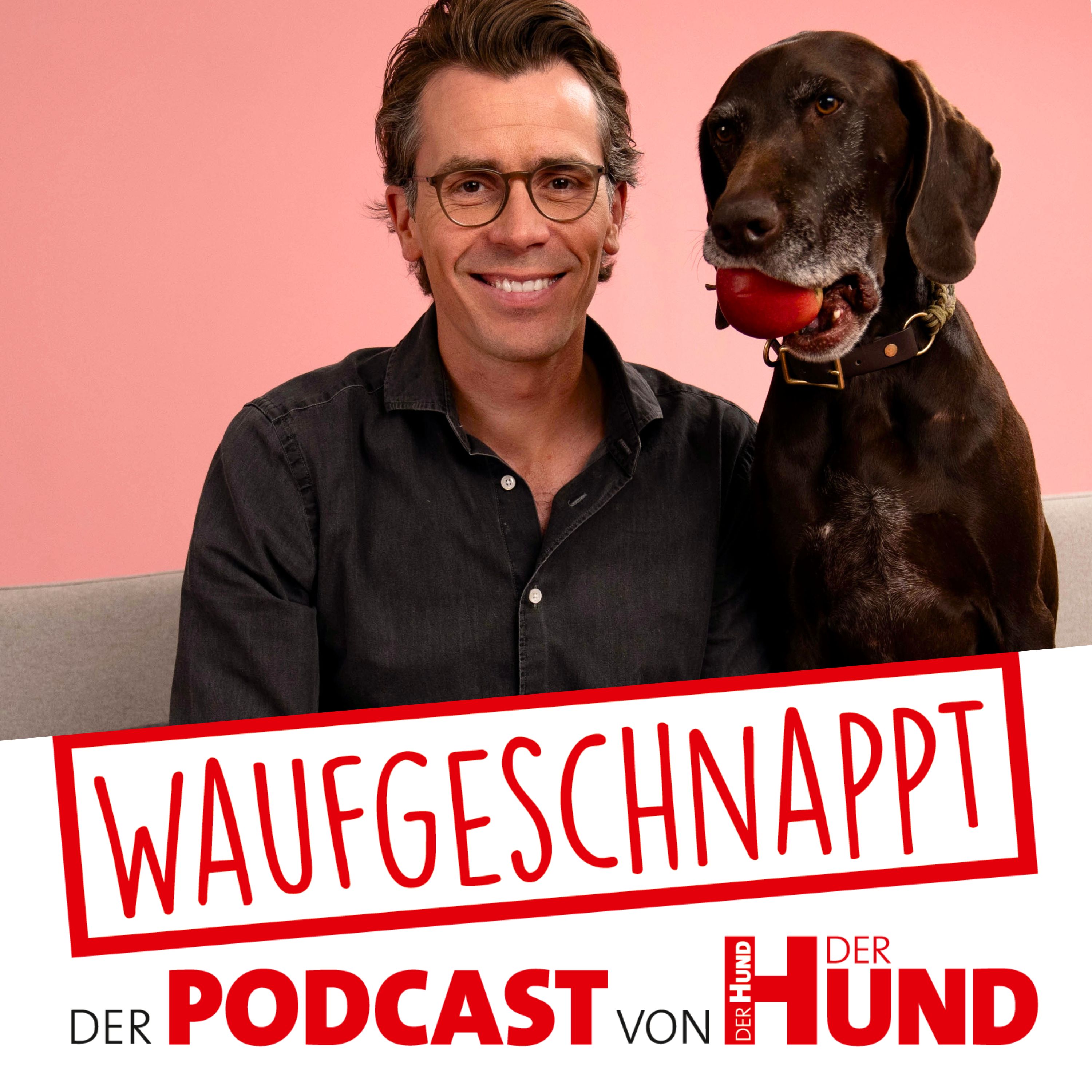 Waufgeschnappt - der Podcast von DER HUND