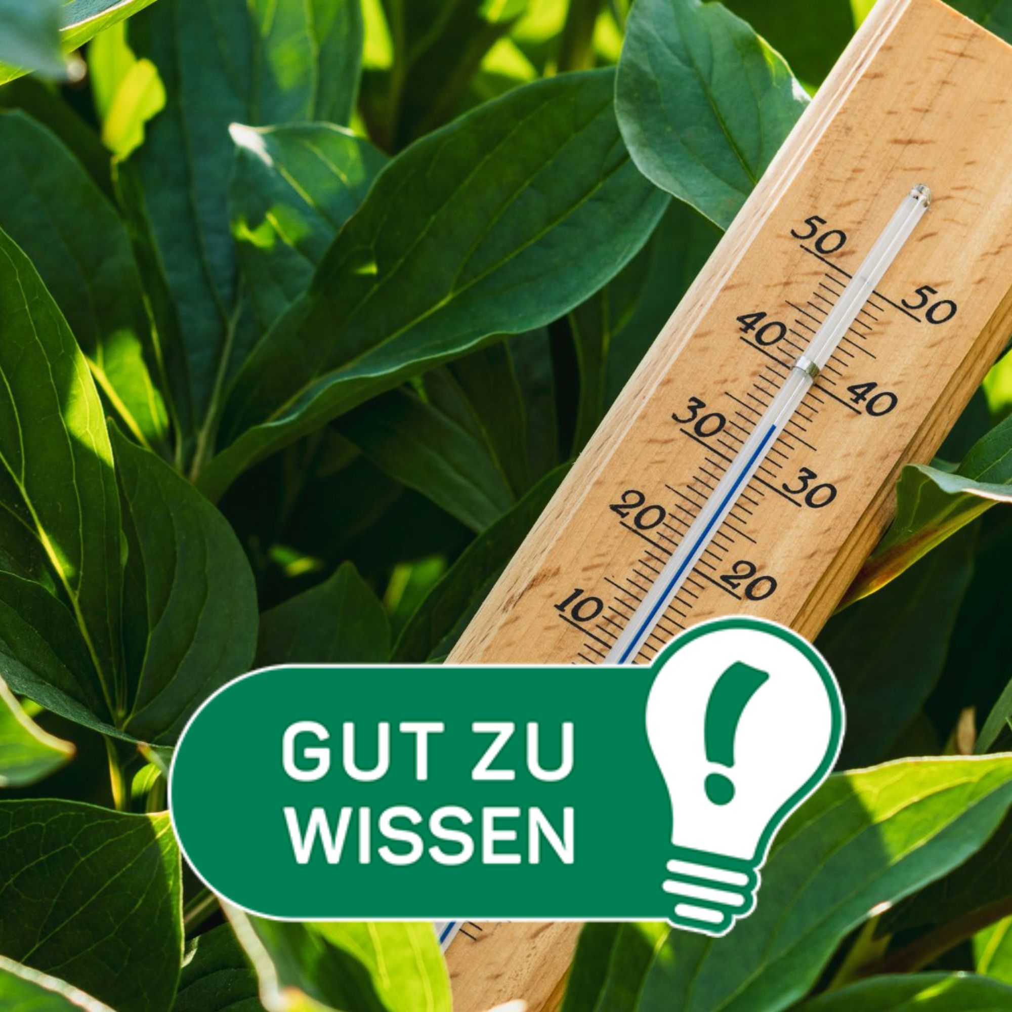 Gut zu wissen