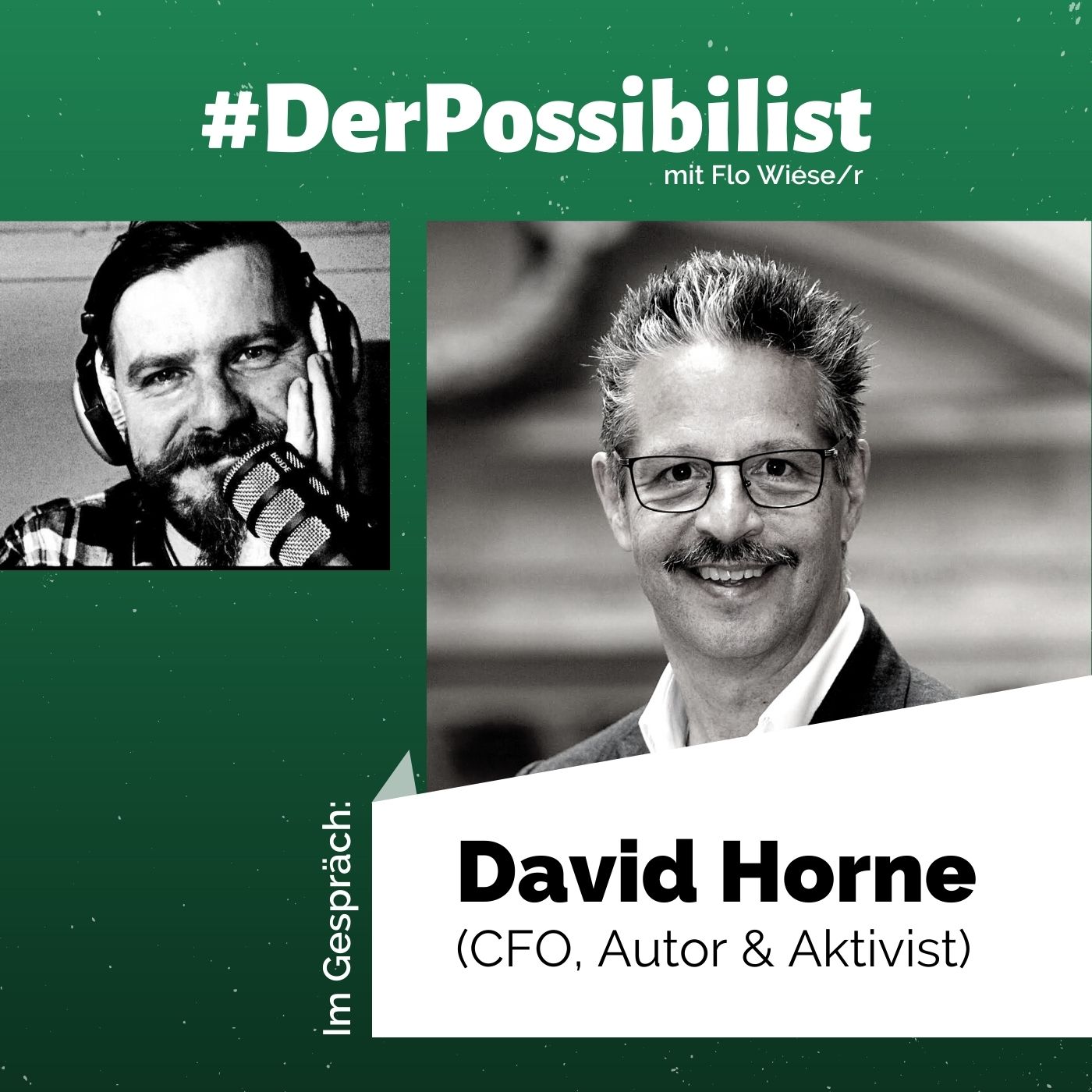 Der Possibilist
