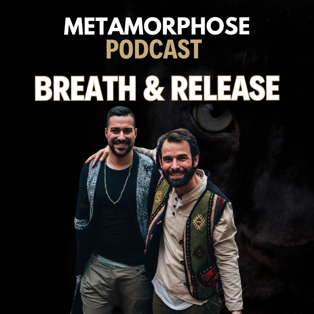 Metamorphose - Dein Podcast für persönliches Wachstum