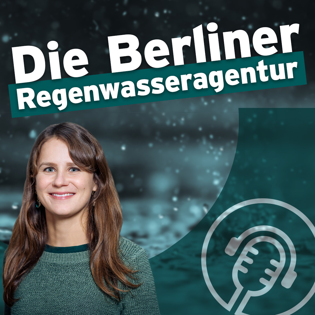 Regenwassermanagement Podcast für die Baupraxis