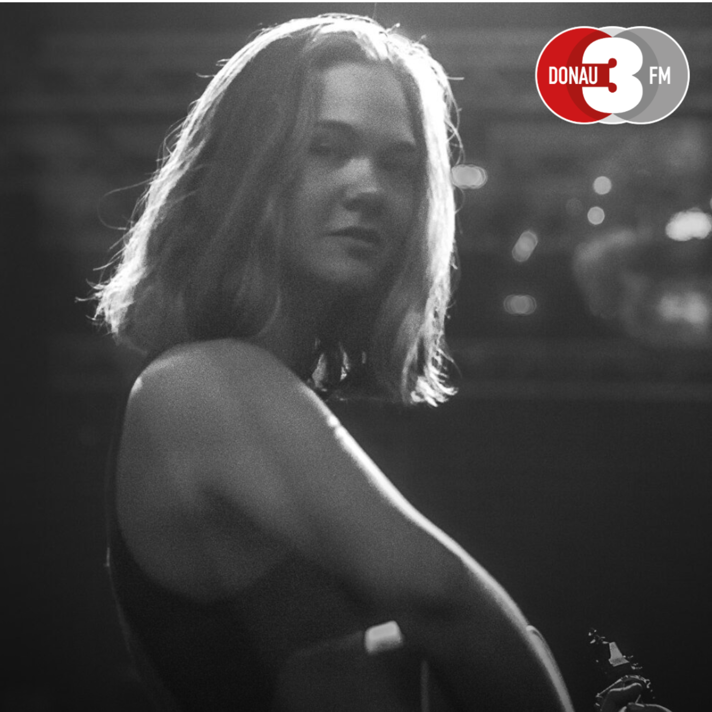 Matzes Plattenküche bei DONAU 3 FM