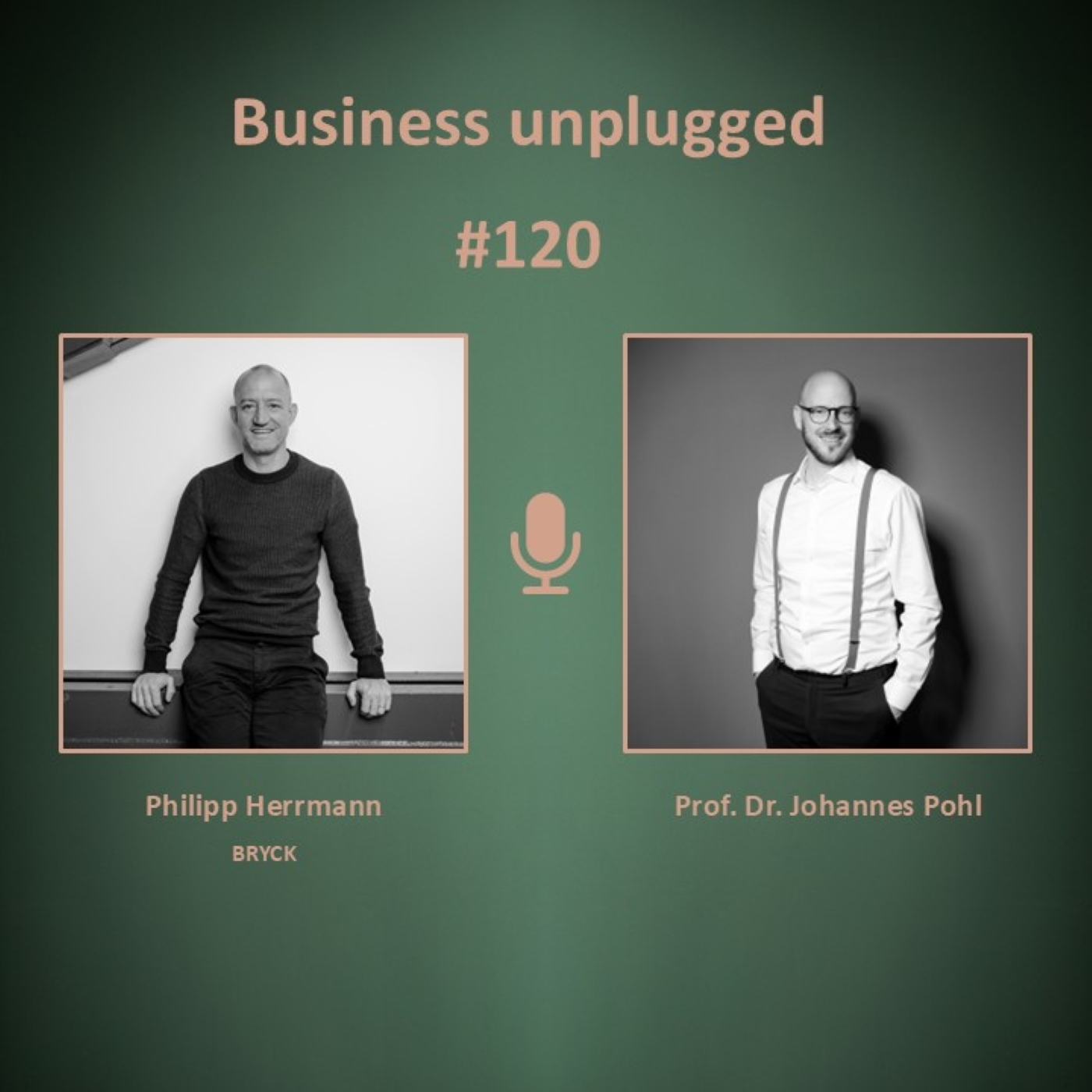 Business unplugged - Menschen, Unternehmen und Aspekte der Digitalisierung
