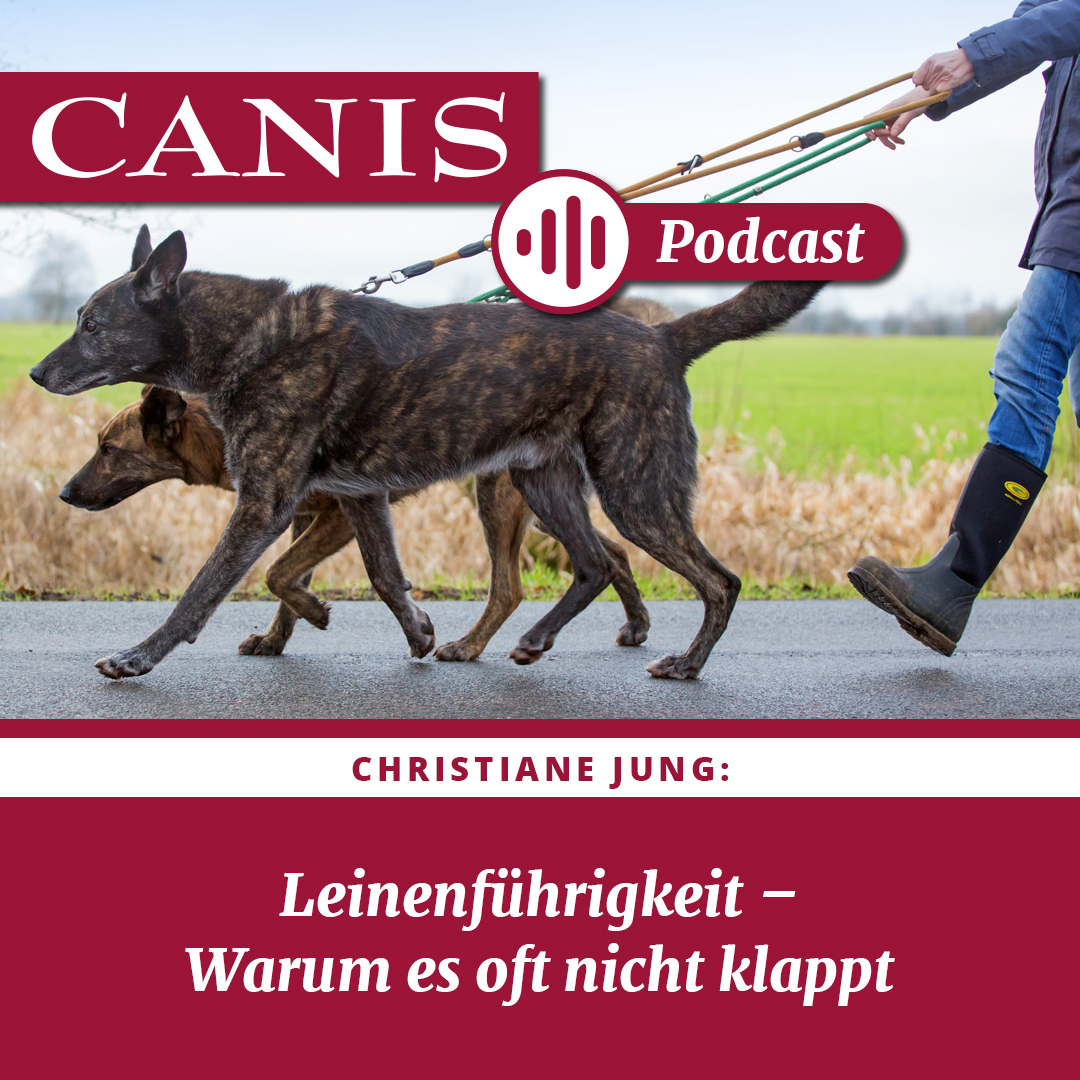 Der CANIS-Podcast – Hundeexpert:innen ausgefragt