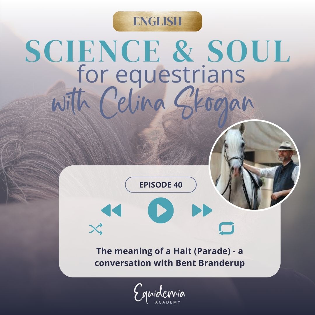 Horsefriends international