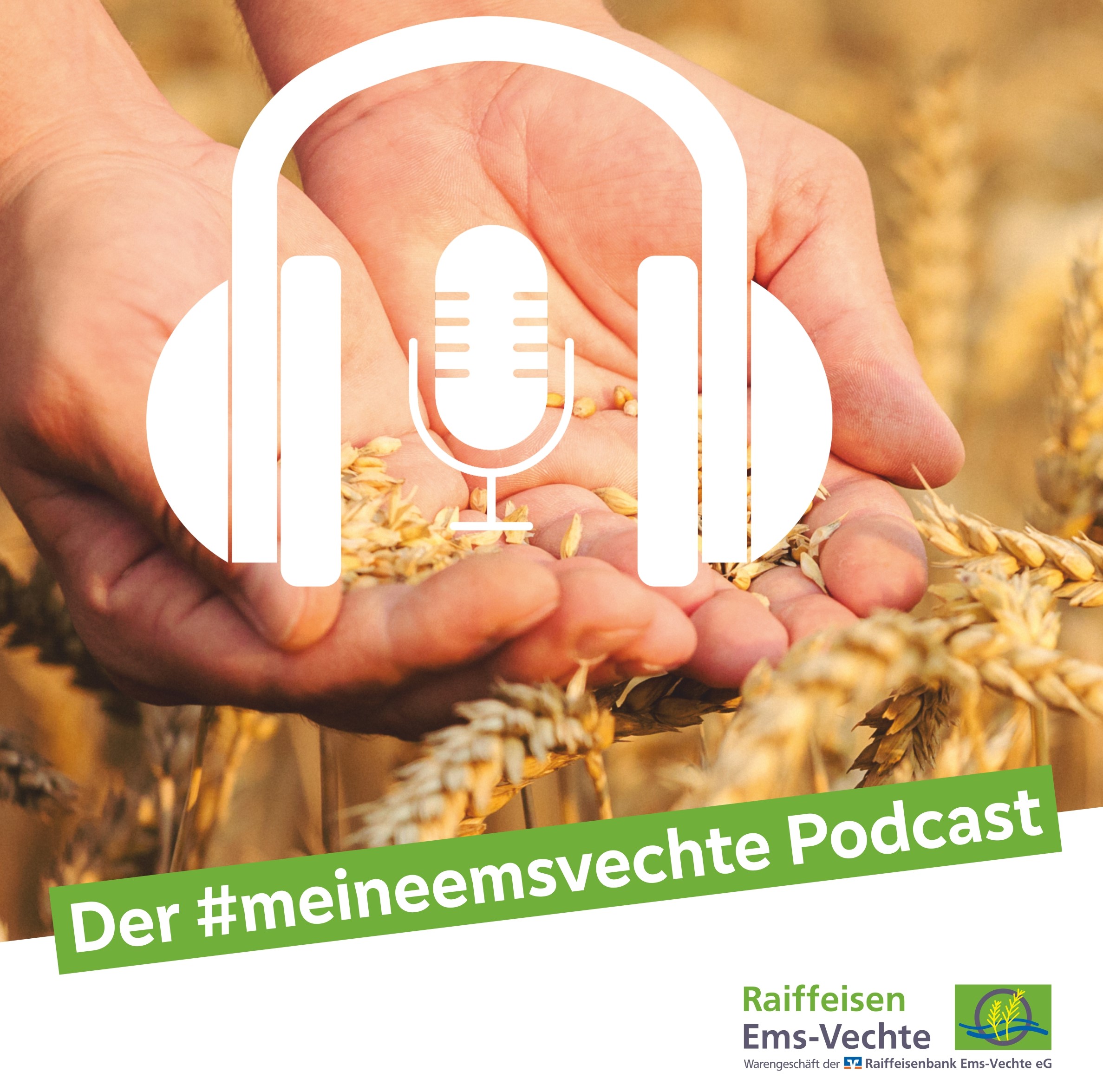 Der #meineemsvechte Podcast podcast artwork