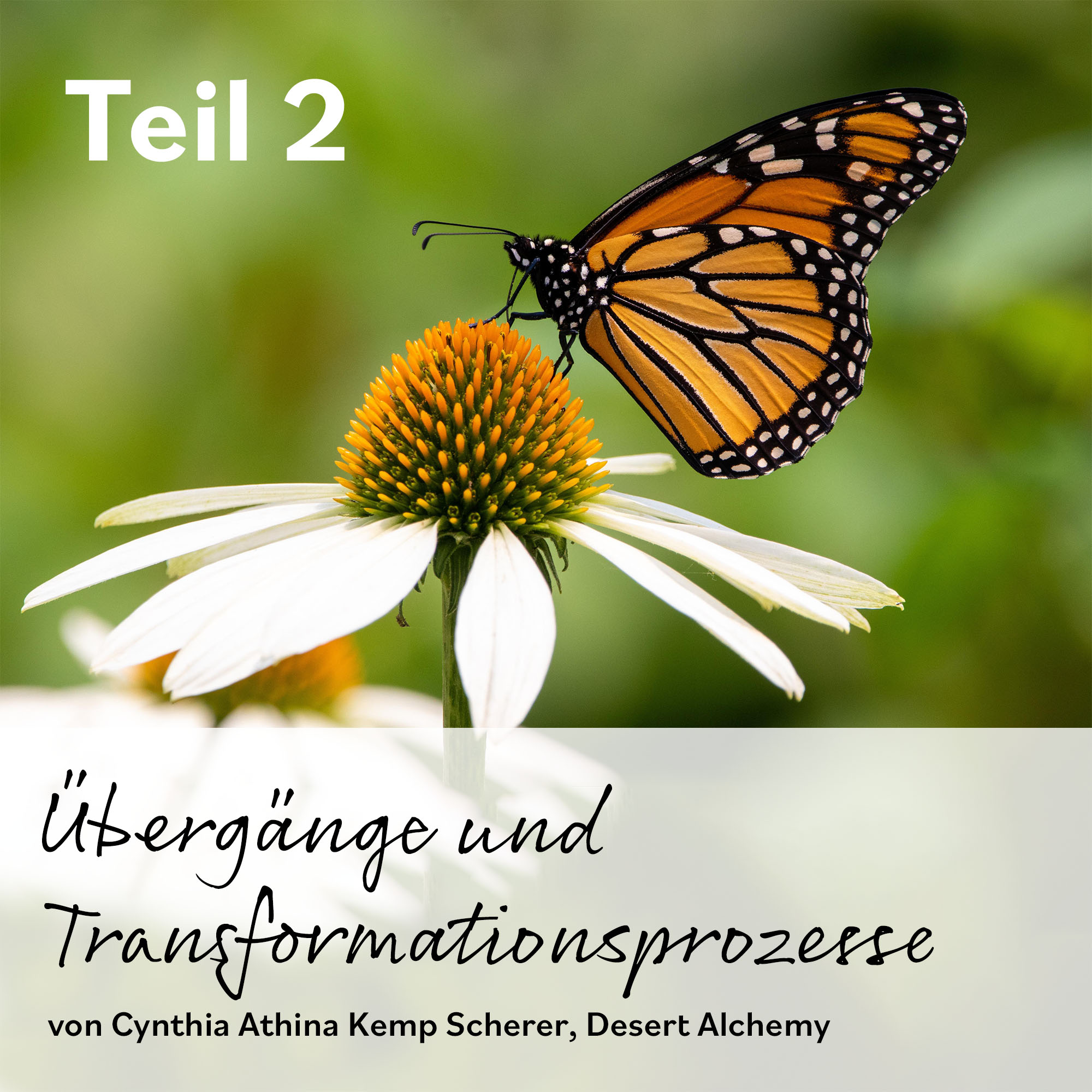 Der Essenzen Podcast Folge 222: Übergänge und Transformationsprozesse – Teil 2 Der Essenzen Podcast Folge 222: Übergänge und Transformationsprozesse – Teil 2