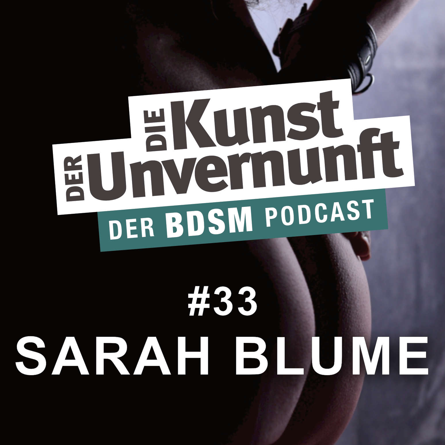 BDSM - Die Kunst der Unvernunft