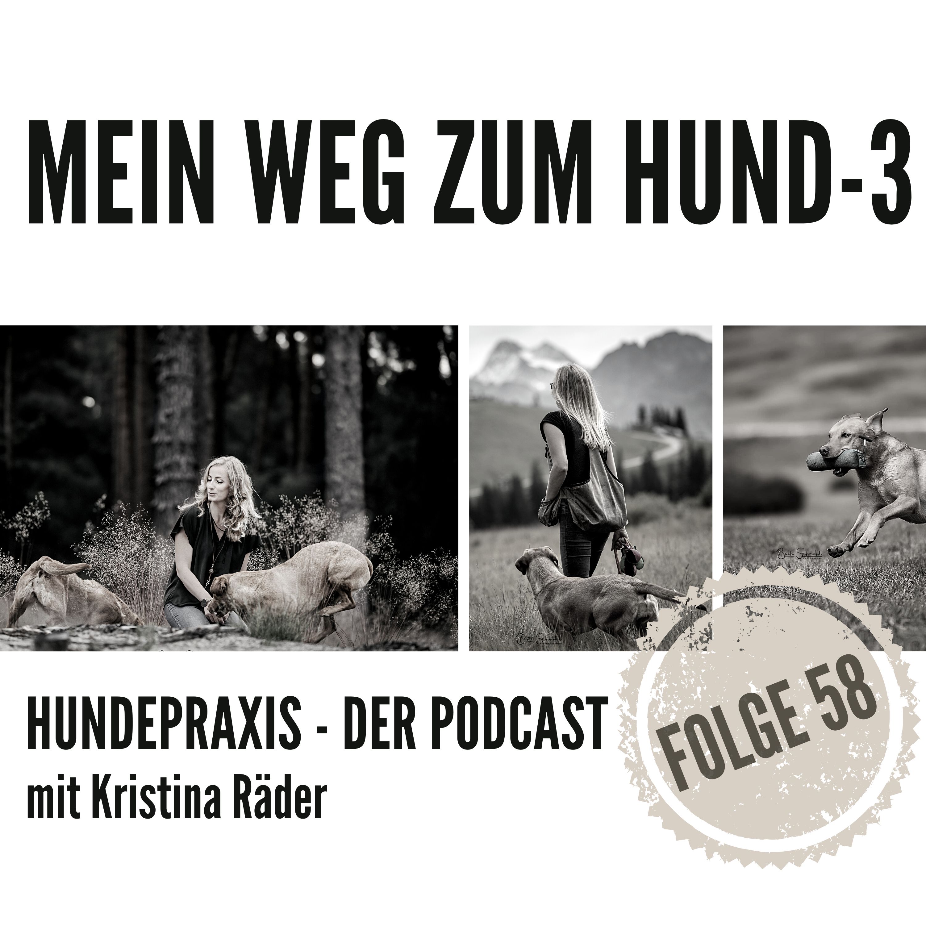Hundepraxis - der Podcast
