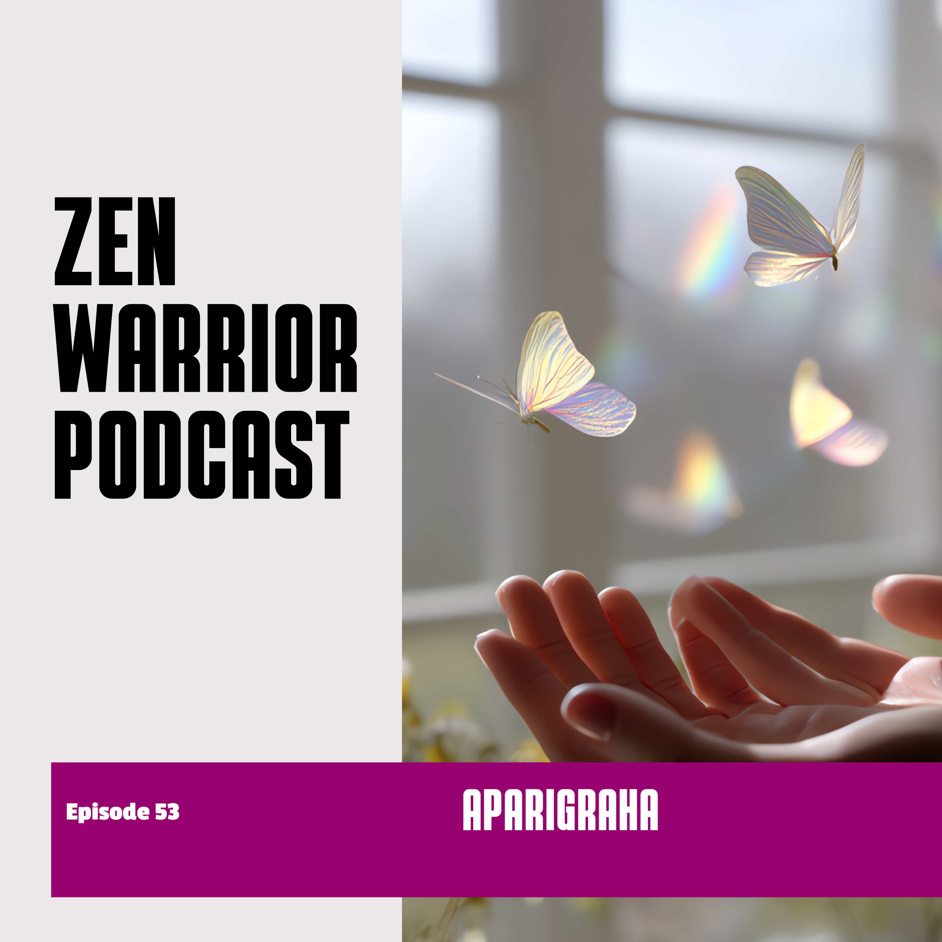 The Zen Warrior Podcast