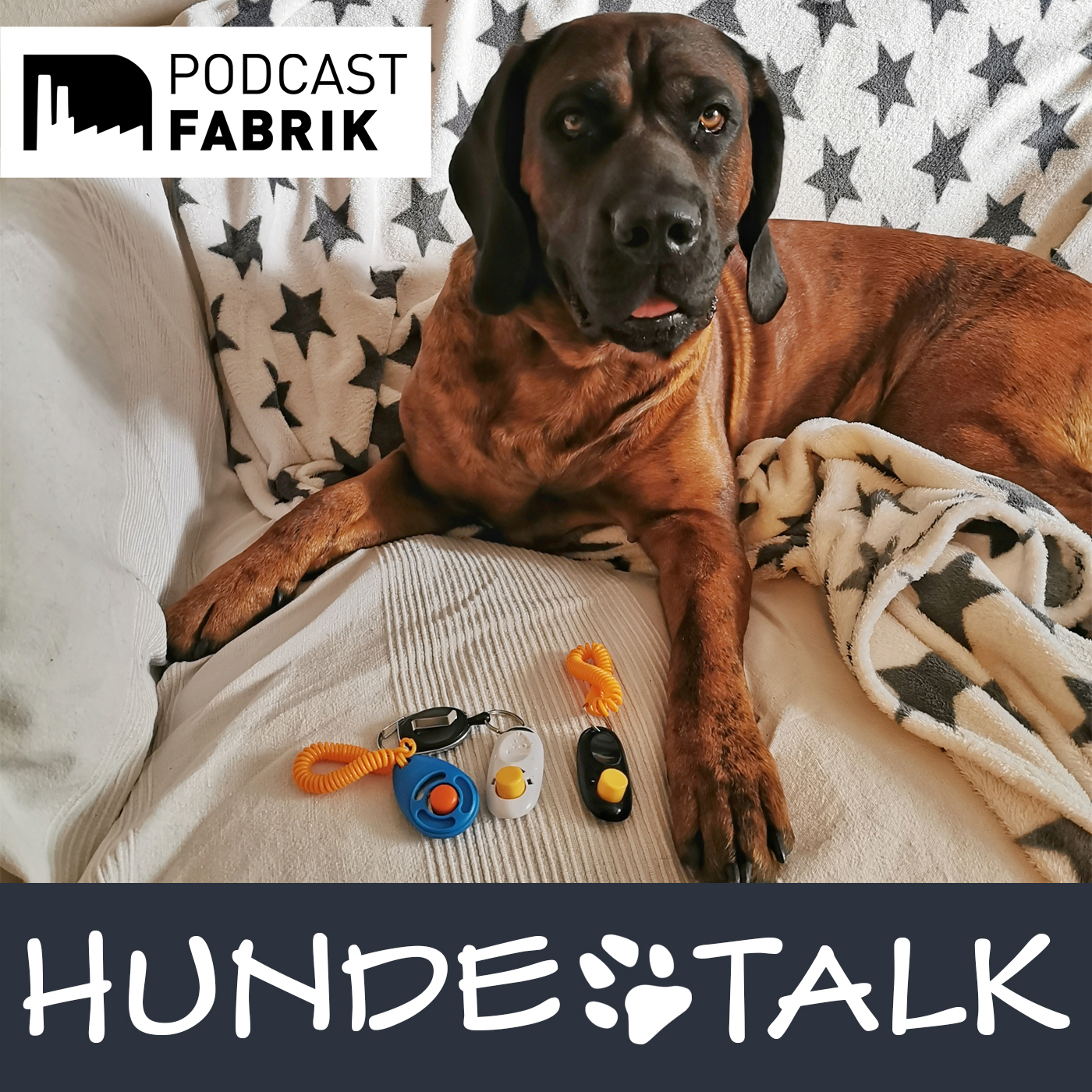 HUNDETALK - Dein Hunderunde-Podcast