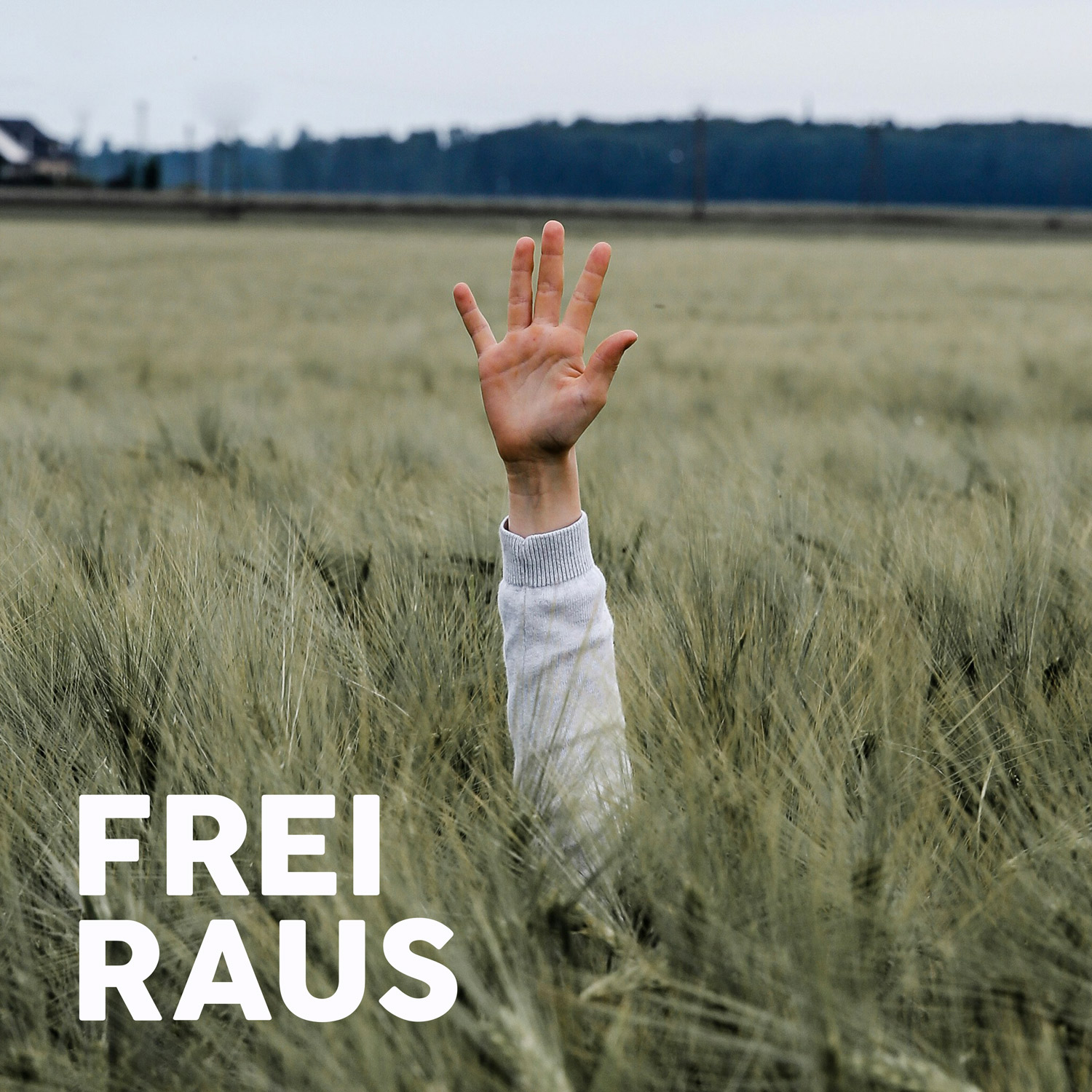 5 Jahre FREI RAUS – Was ich über Abenteuer und das Draußensein gelernt habe