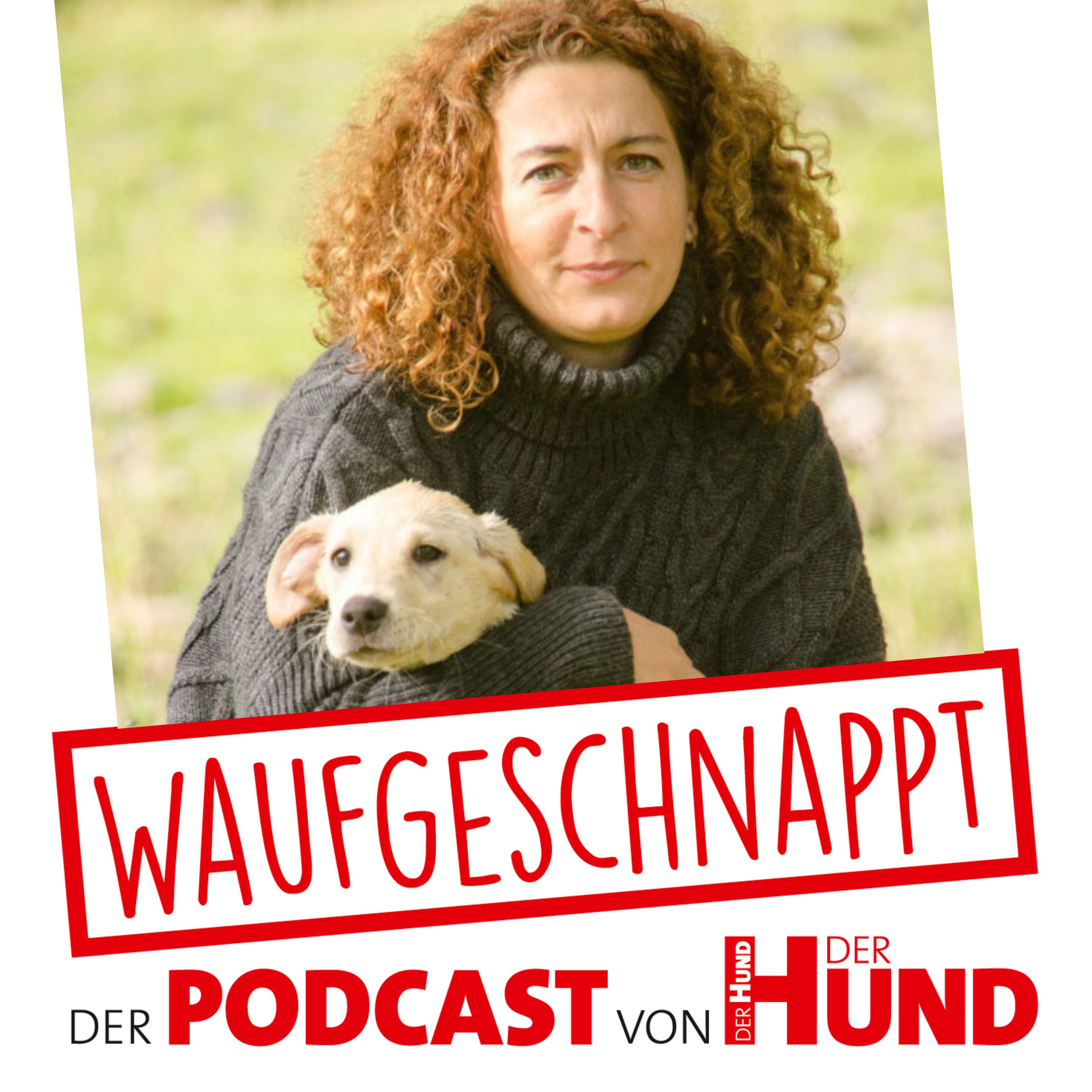 Waufgeschnappt - der Podcast von DER HUND