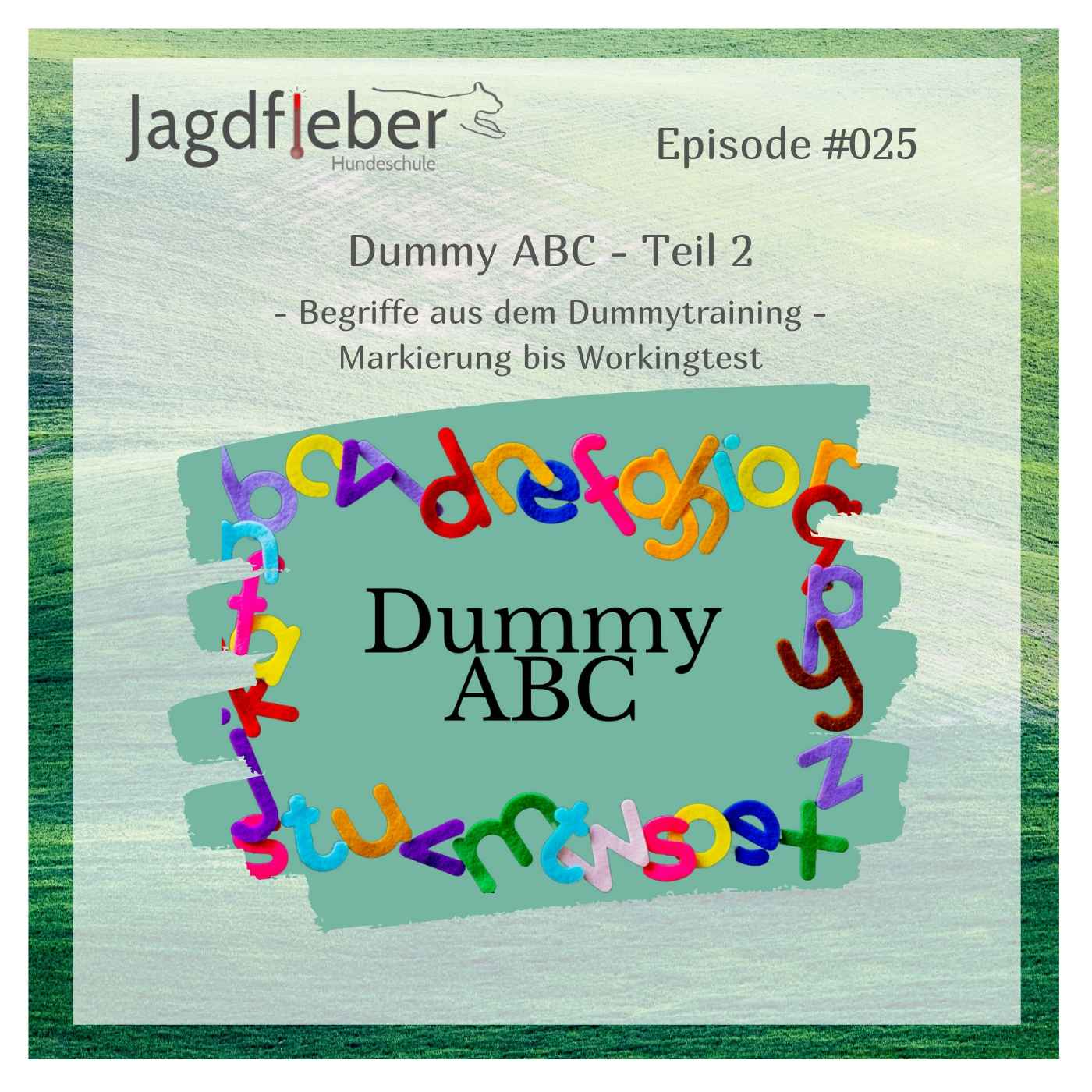 Dummy & Co