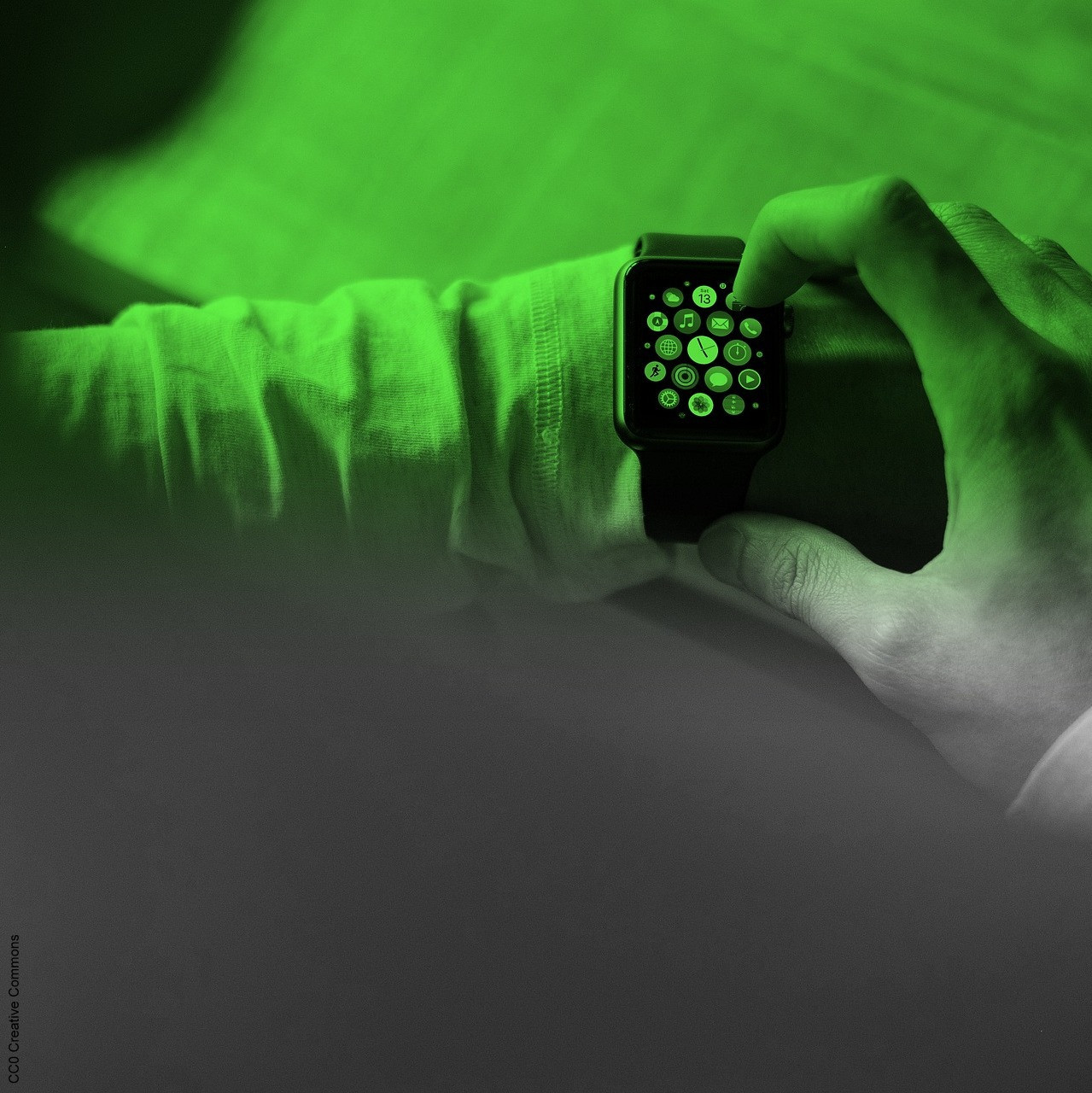 Zwischenrufe – Der grüne Politikpodcast aus Sachsen