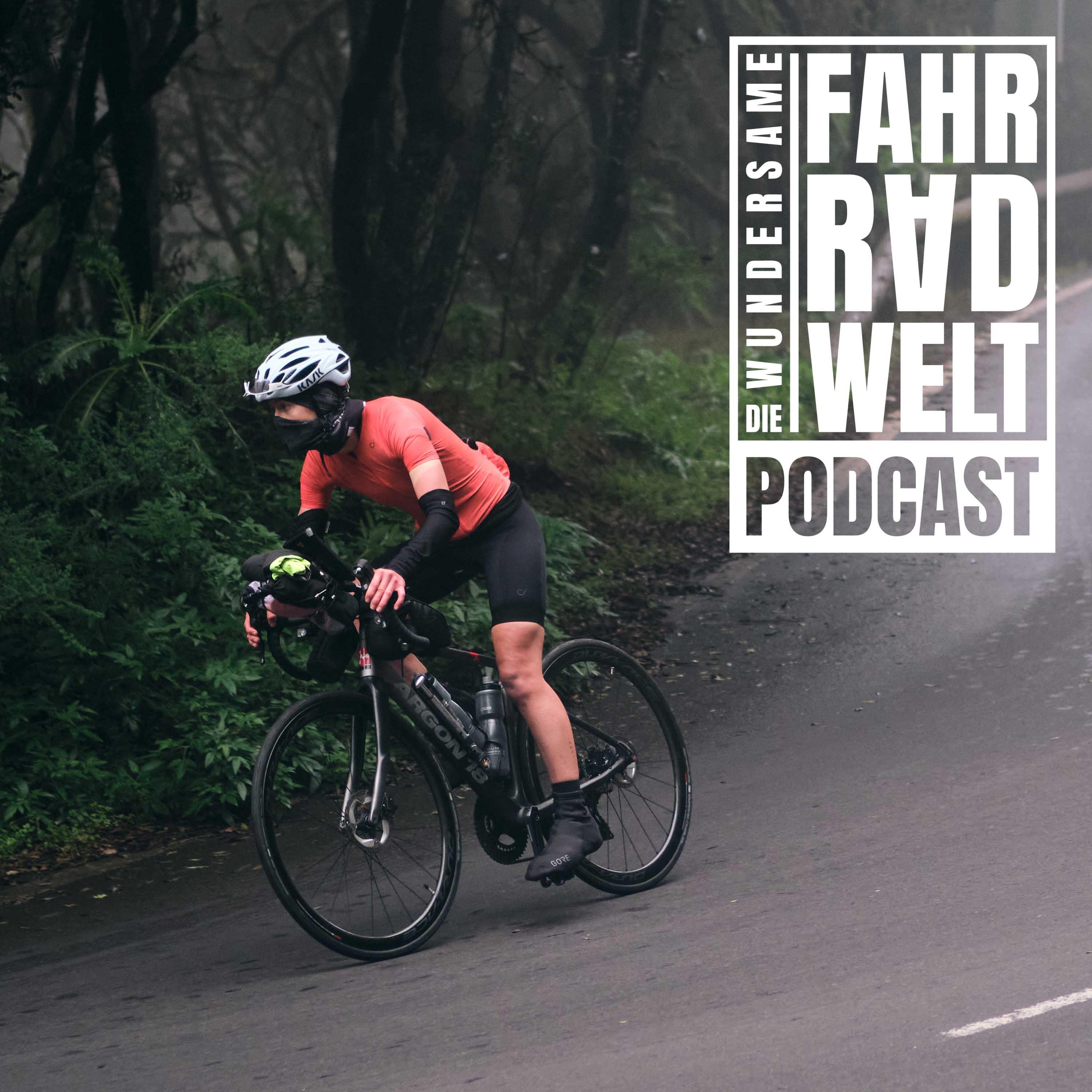 Die Wundersame Fahrradwelt