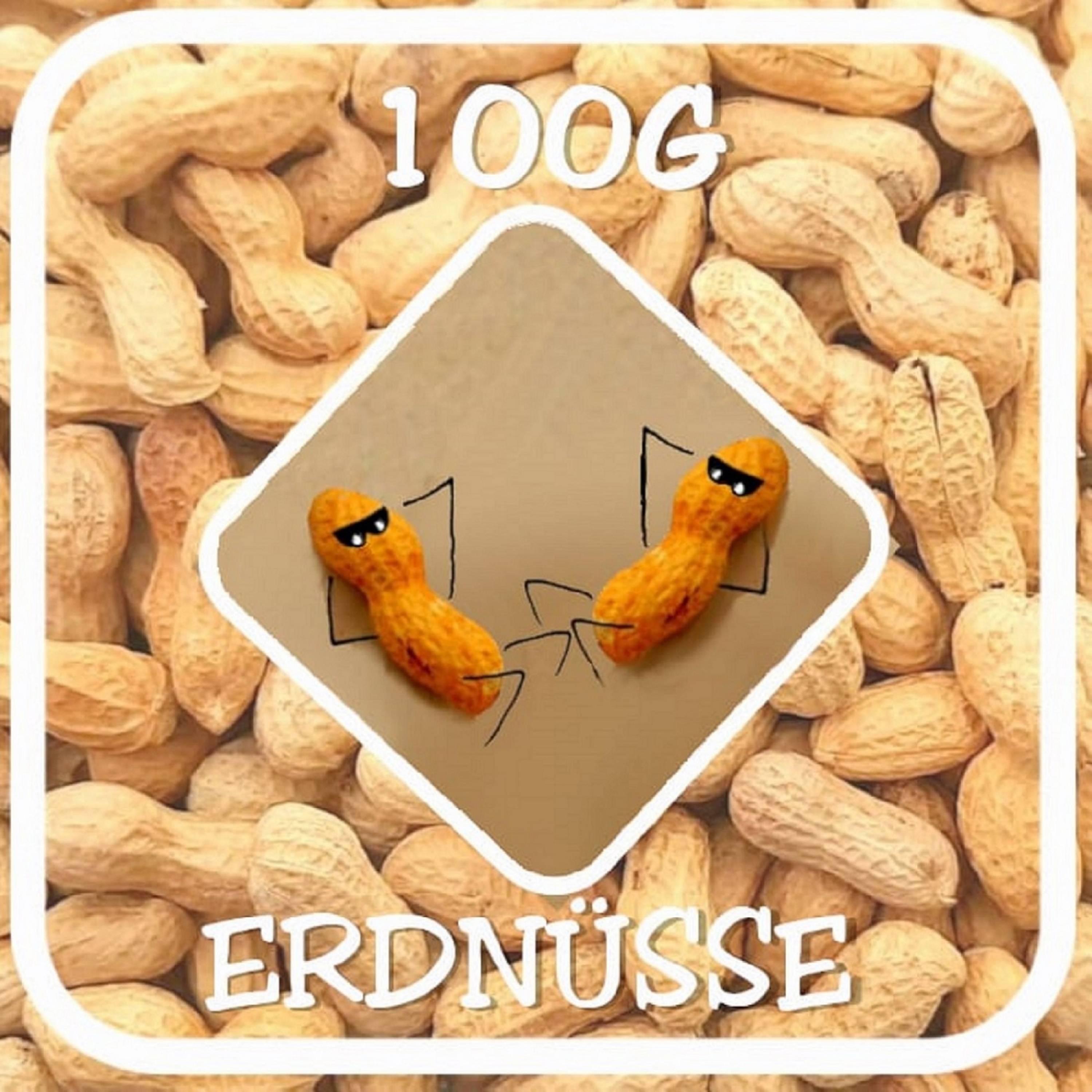 100g Erdnüsse