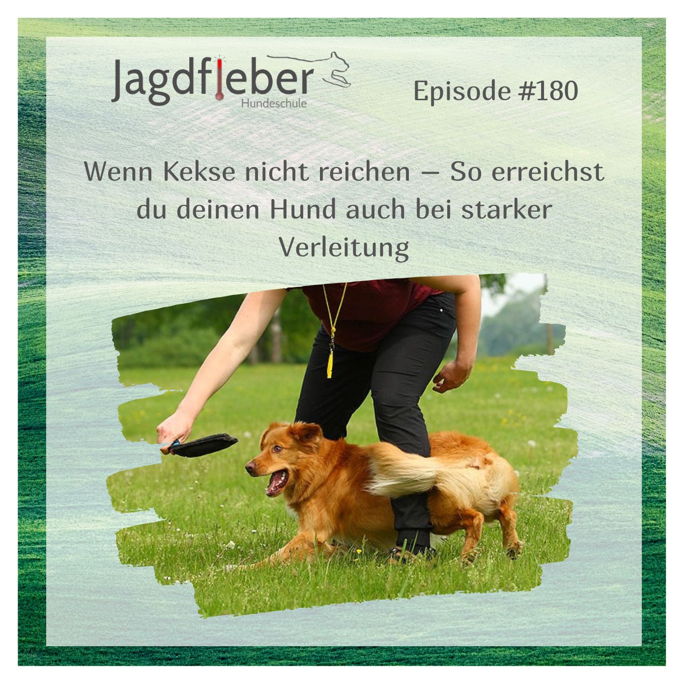 P180: Wenn Kekse nicht reichen – So erreichst du deinen Hund auch bei starker Verleitung episode artwork