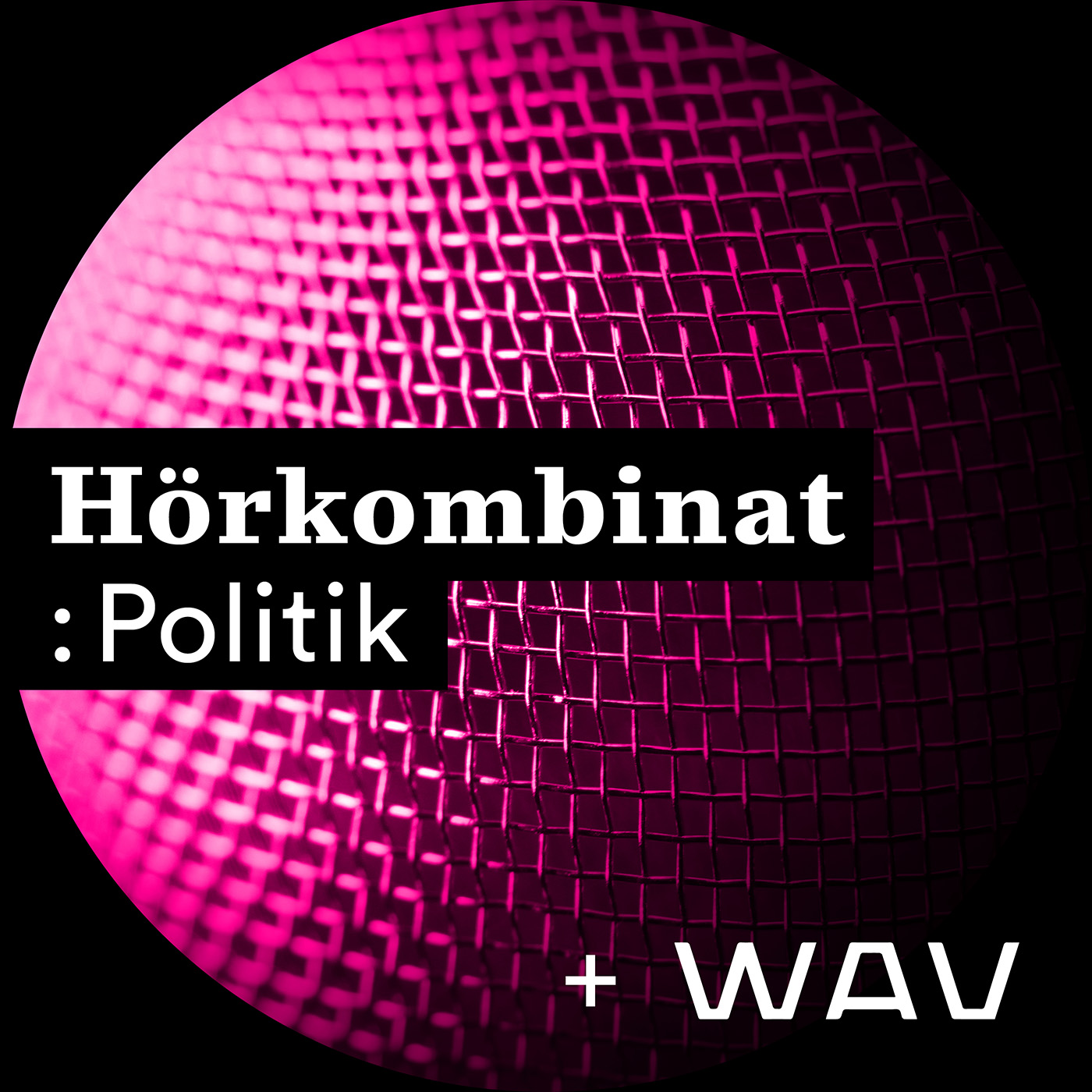 Hörkombinat :Politik