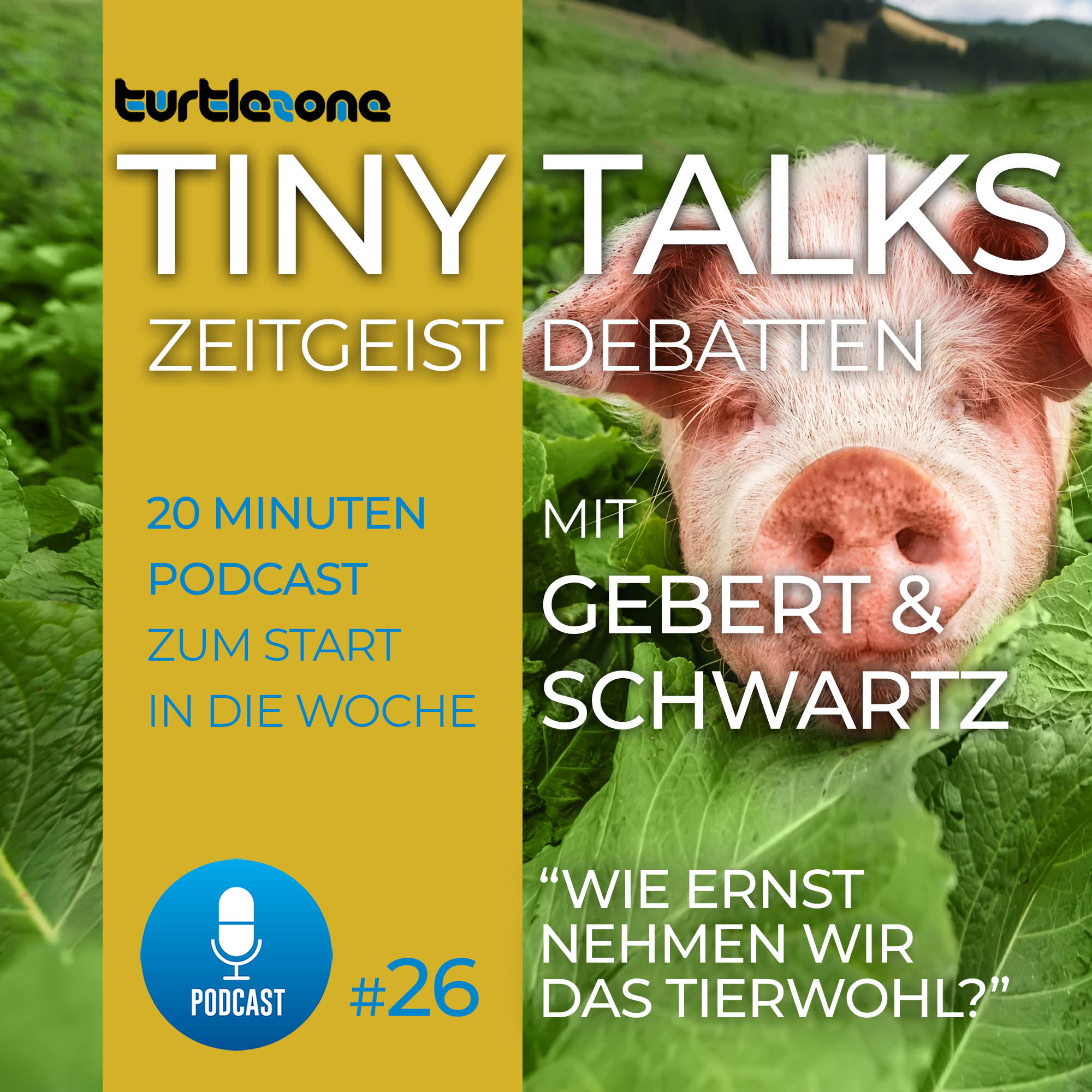 Turtlezone Tiny Talks - Der Debatten-Podcast mit Gebert und Schwartz