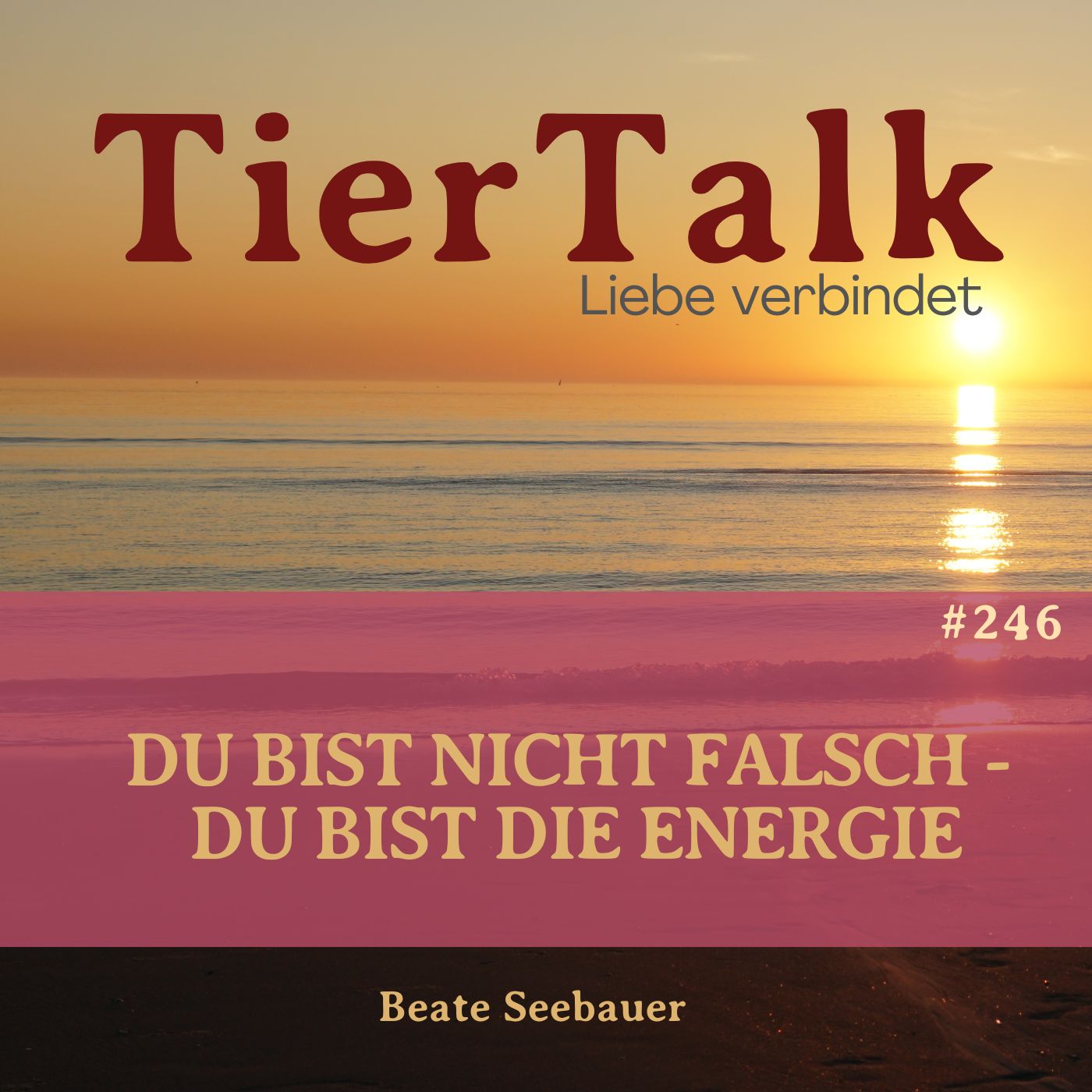 246. Du bist nicht falsch - du bist die Energie