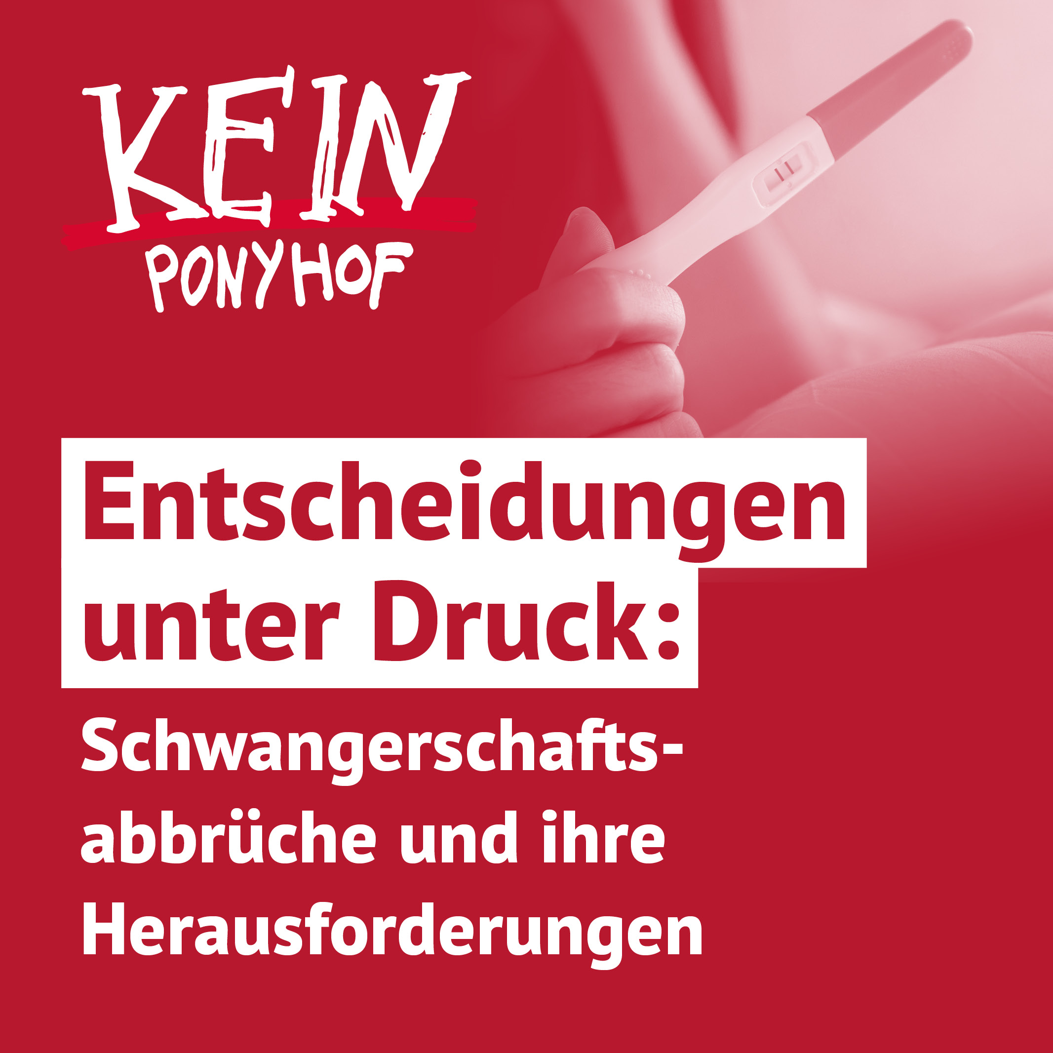Kein Ponyhof - Aus dem Alltag einer Sozialberatung