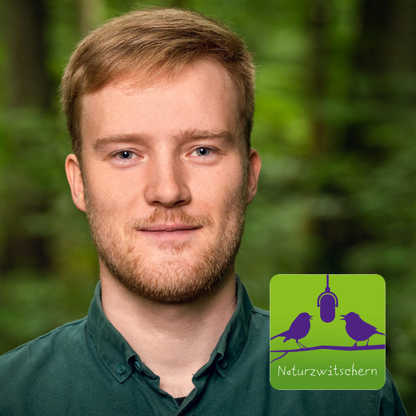 Naturzwitschern