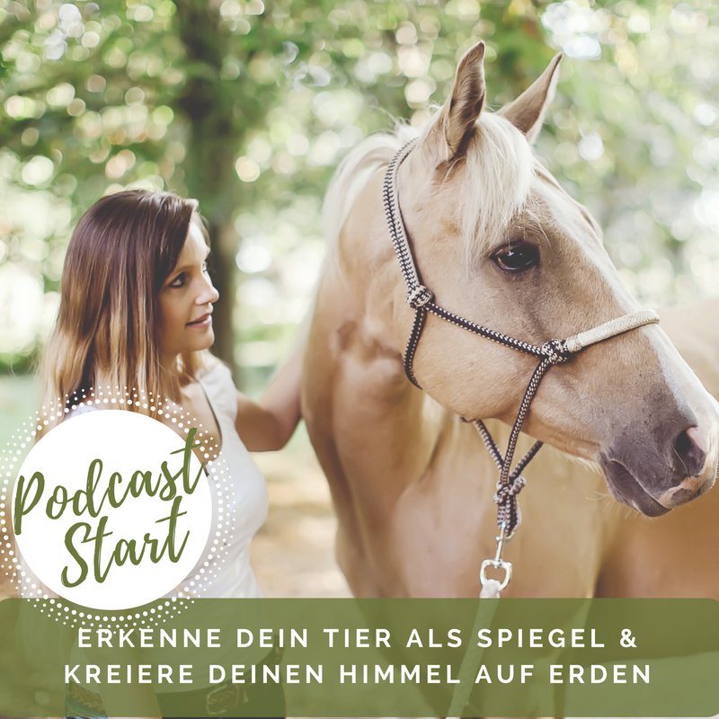 Folge deiner Intuition - Kreiere deinen Himmel auf Erden